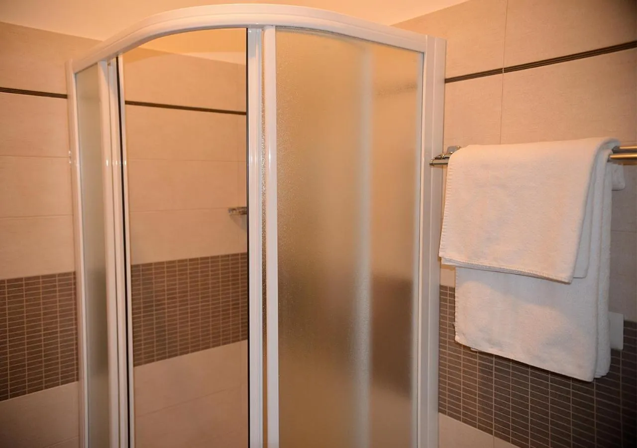 Shower in Hotel Regina Delle Dolomiti