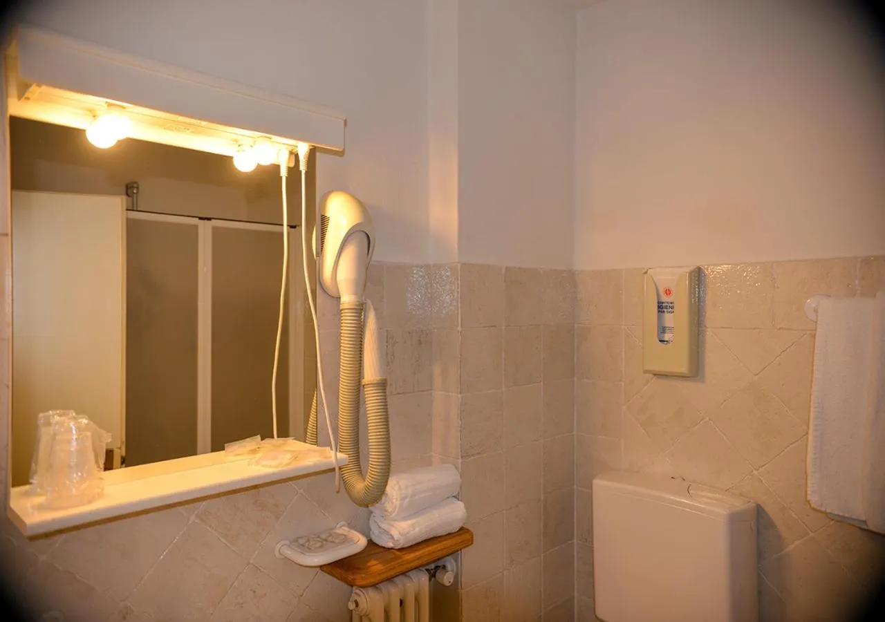 Shower in Hotel Regina Delle Dolomiti