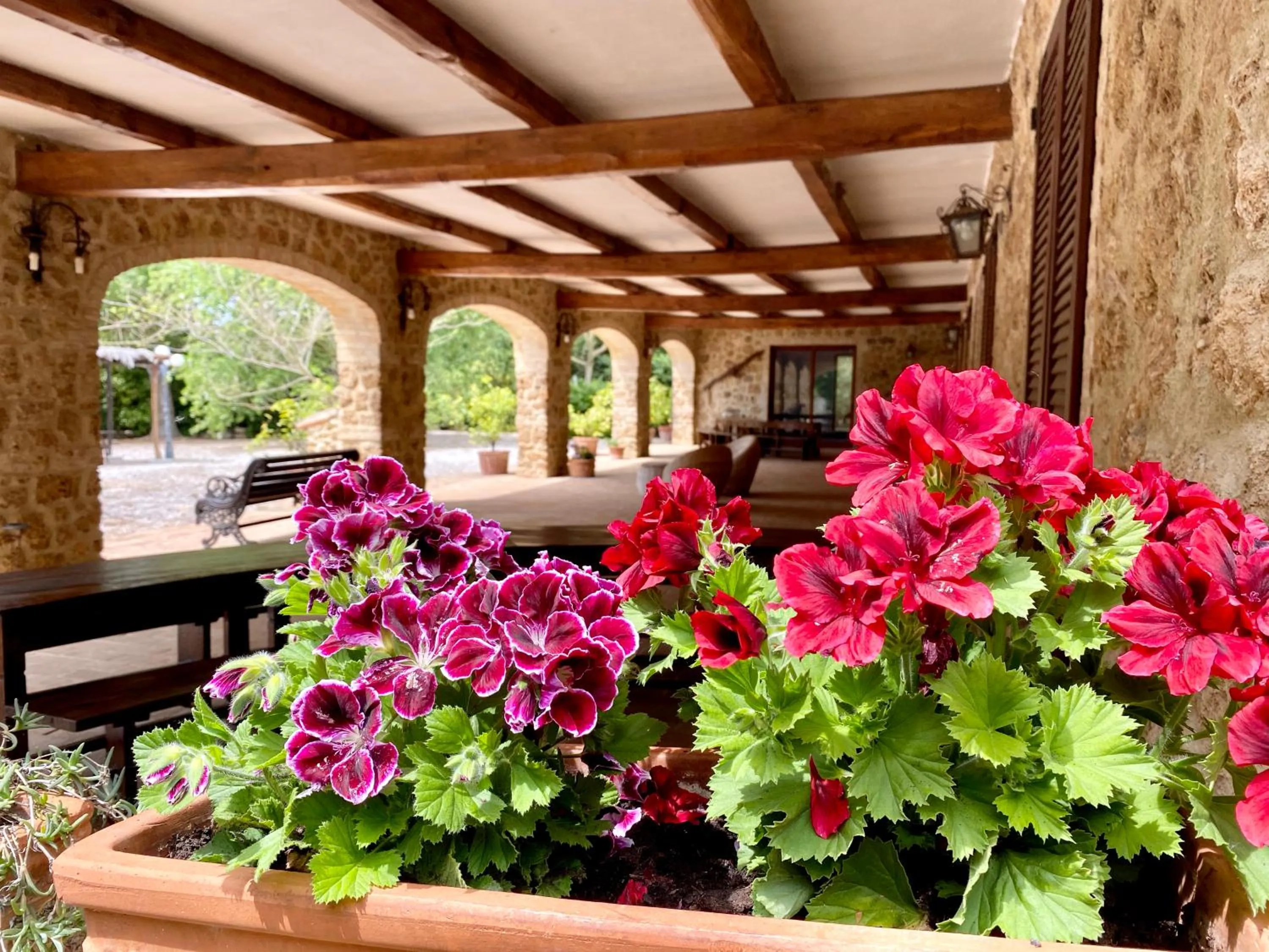 Facade/entrance in Casale San Giovanni