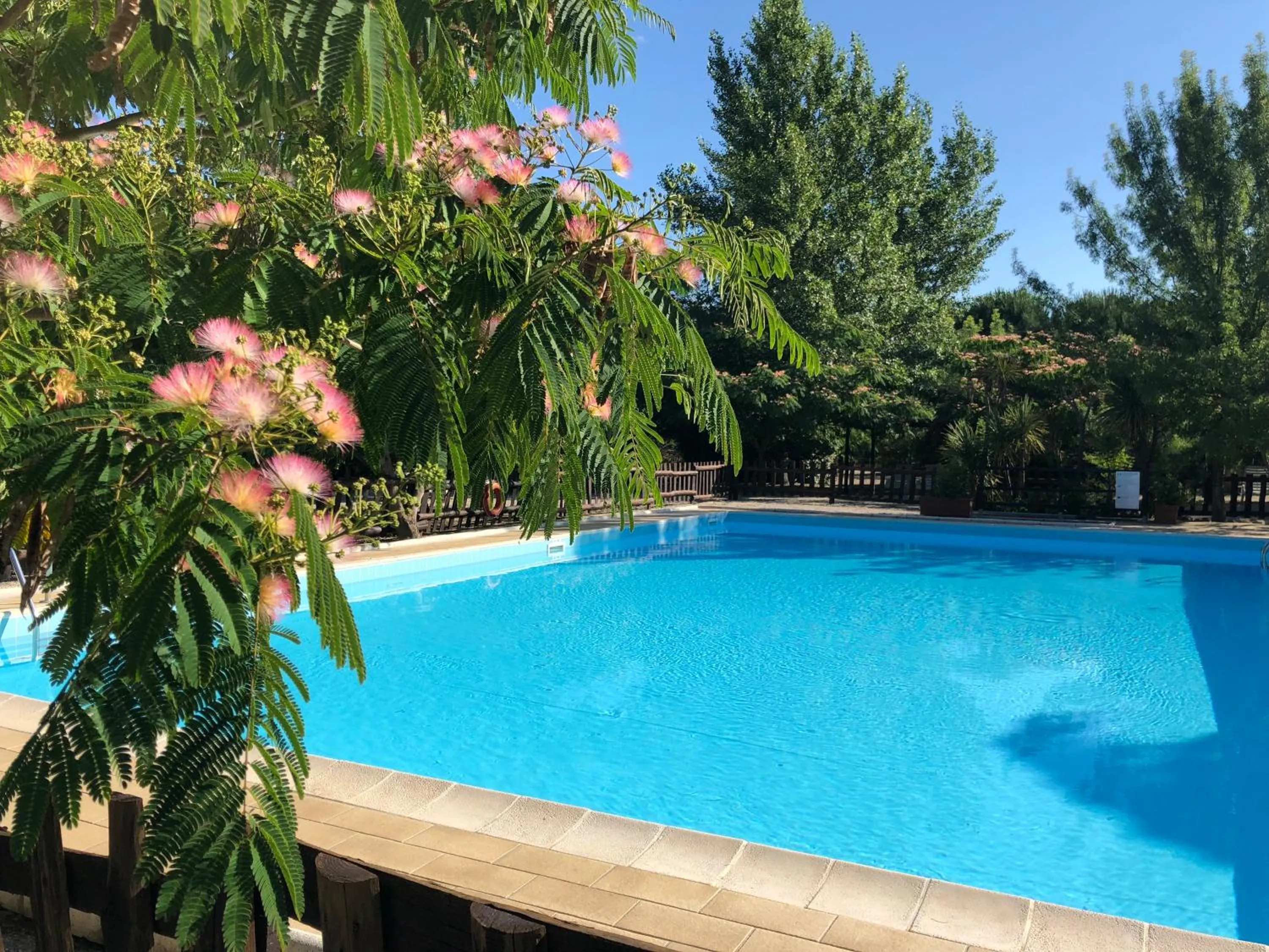 Swimming pool in Casale San Giovanni