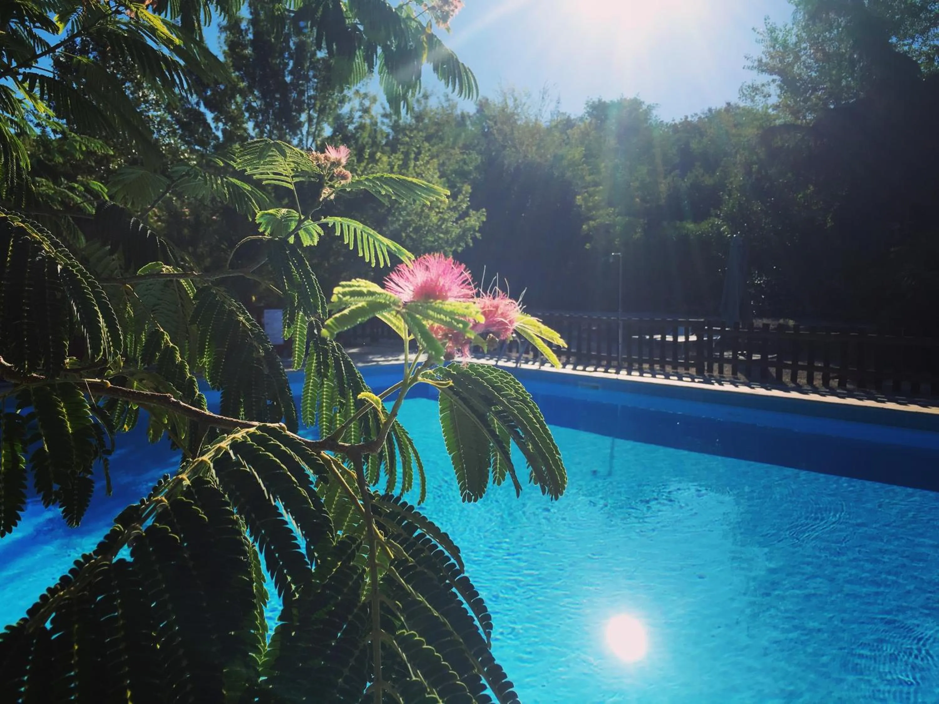 Swimming pool in Casale San Giovanni