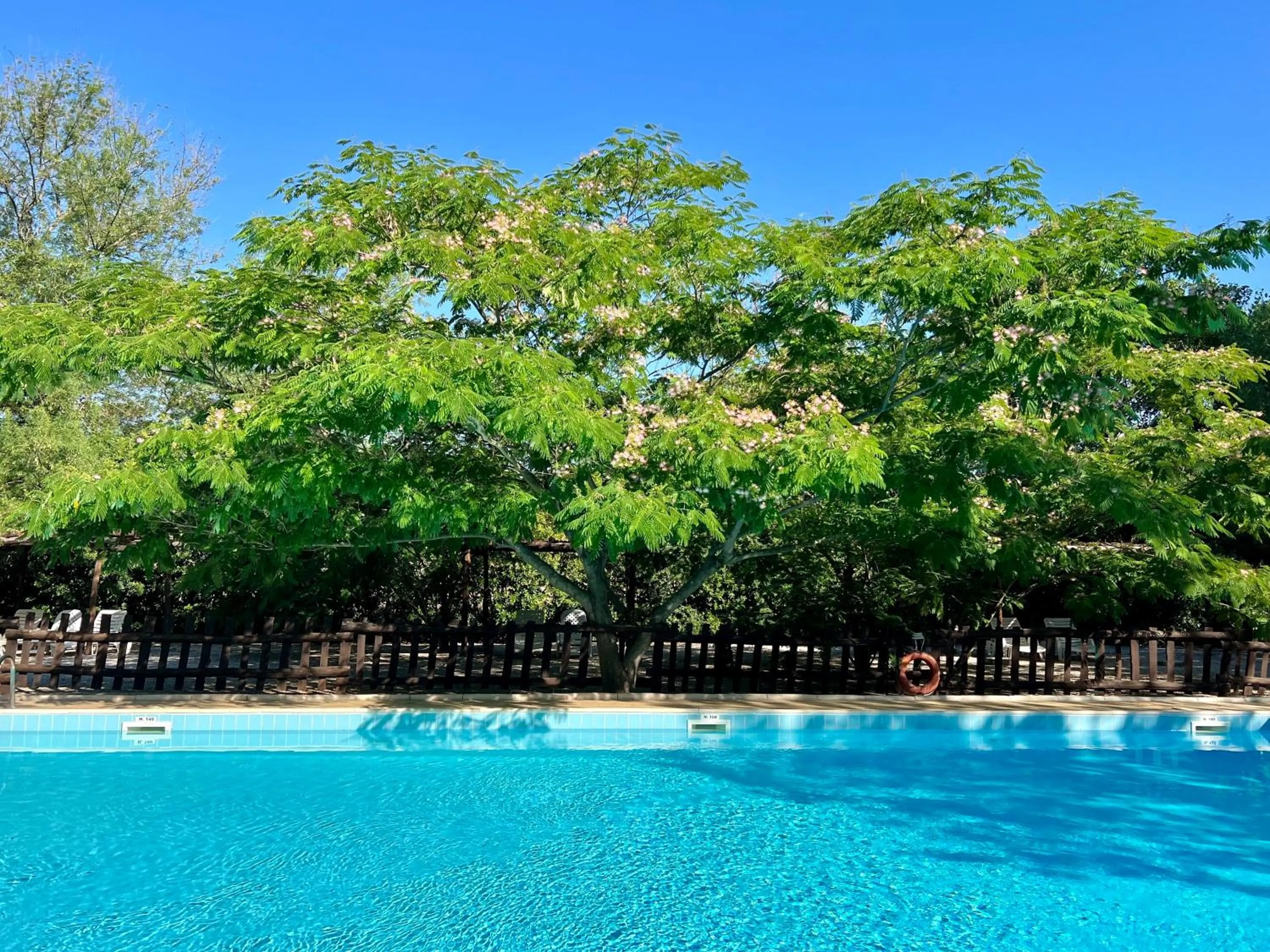 Swimming pool in Casale San Giovanni