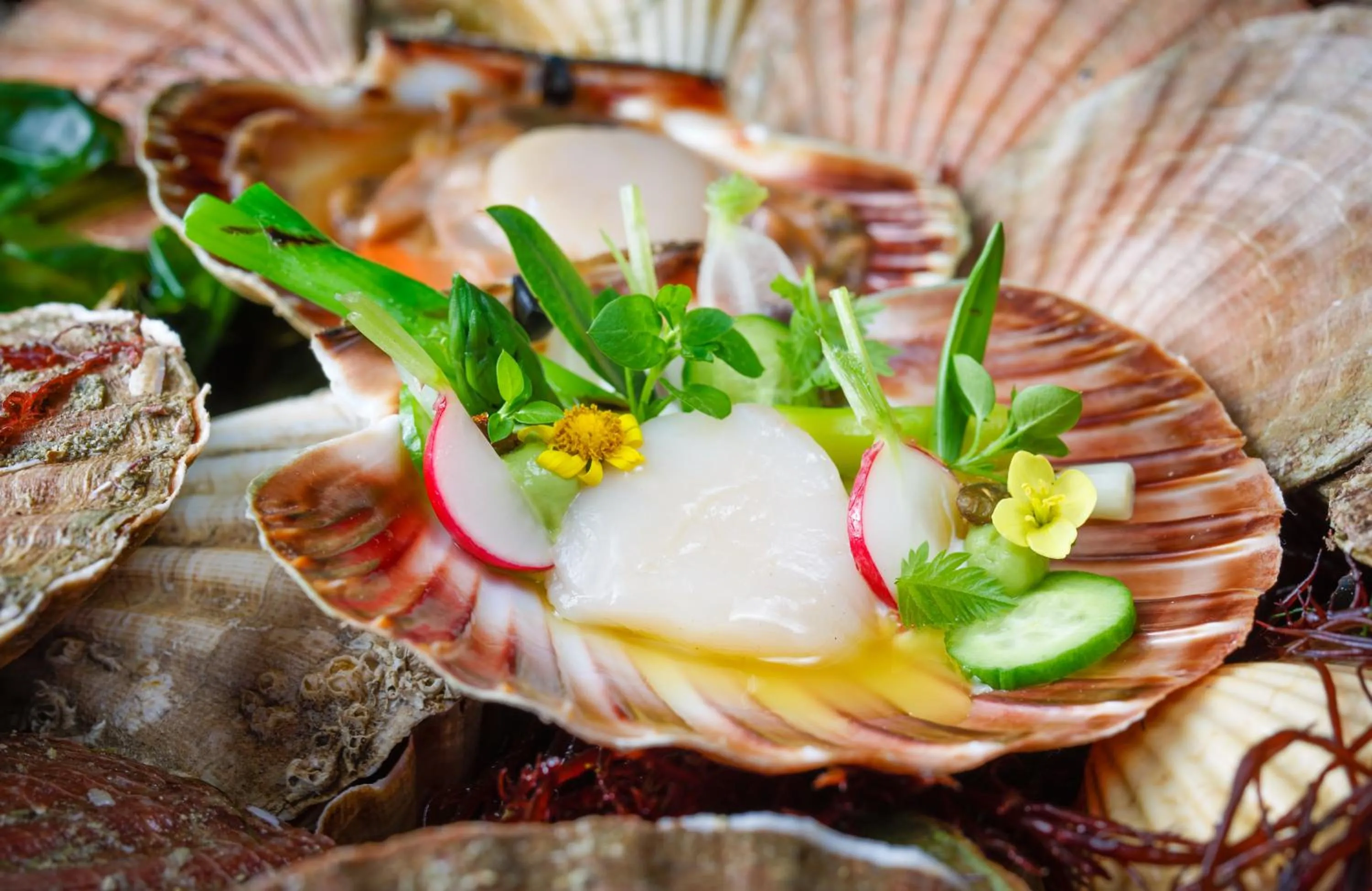 Food close-up in Hotel de Blanke Top