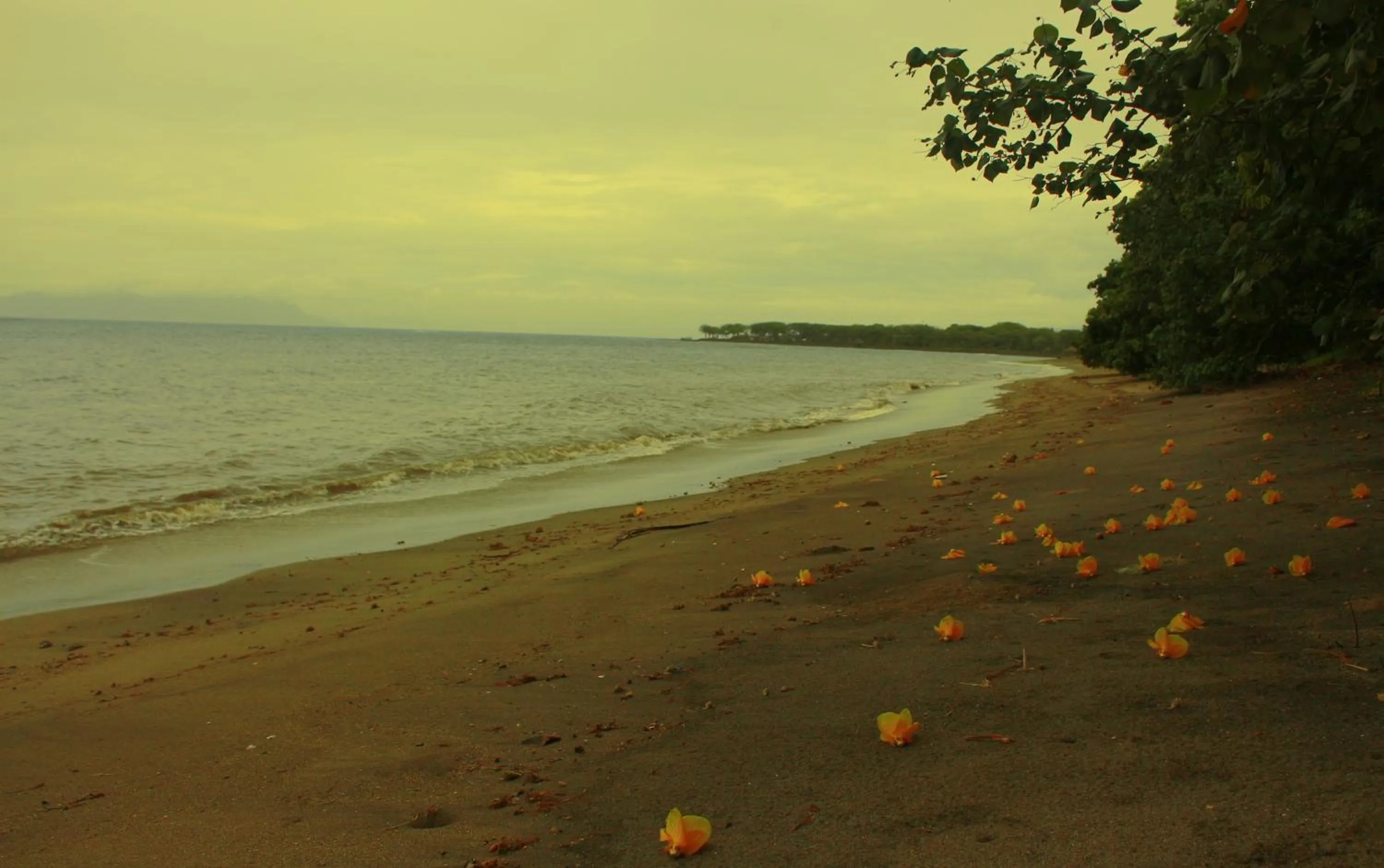 Natural landscape in FX72 Beach Resort Maumere