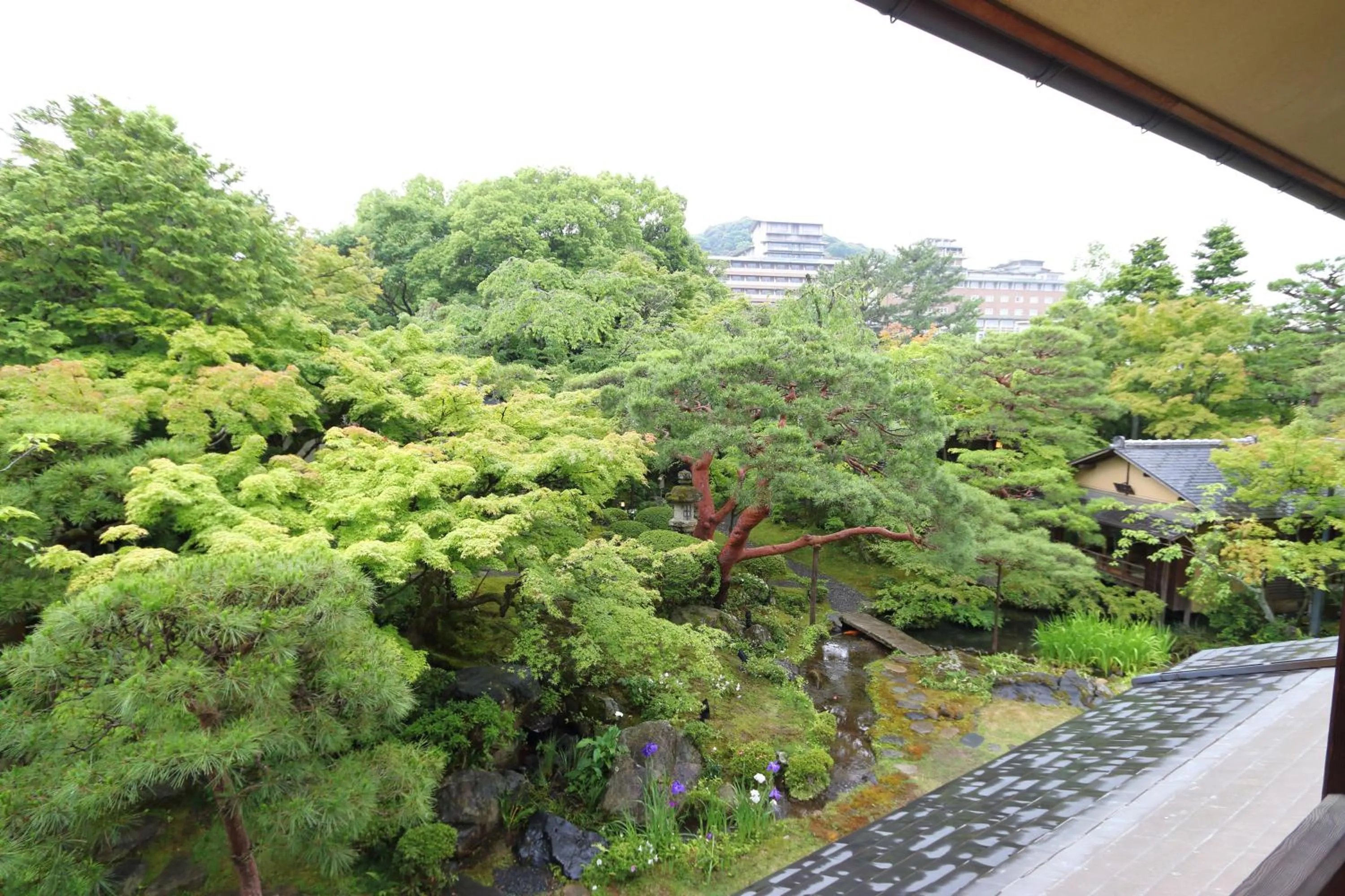 Garden view in Nanzenji sando KIKUSUI