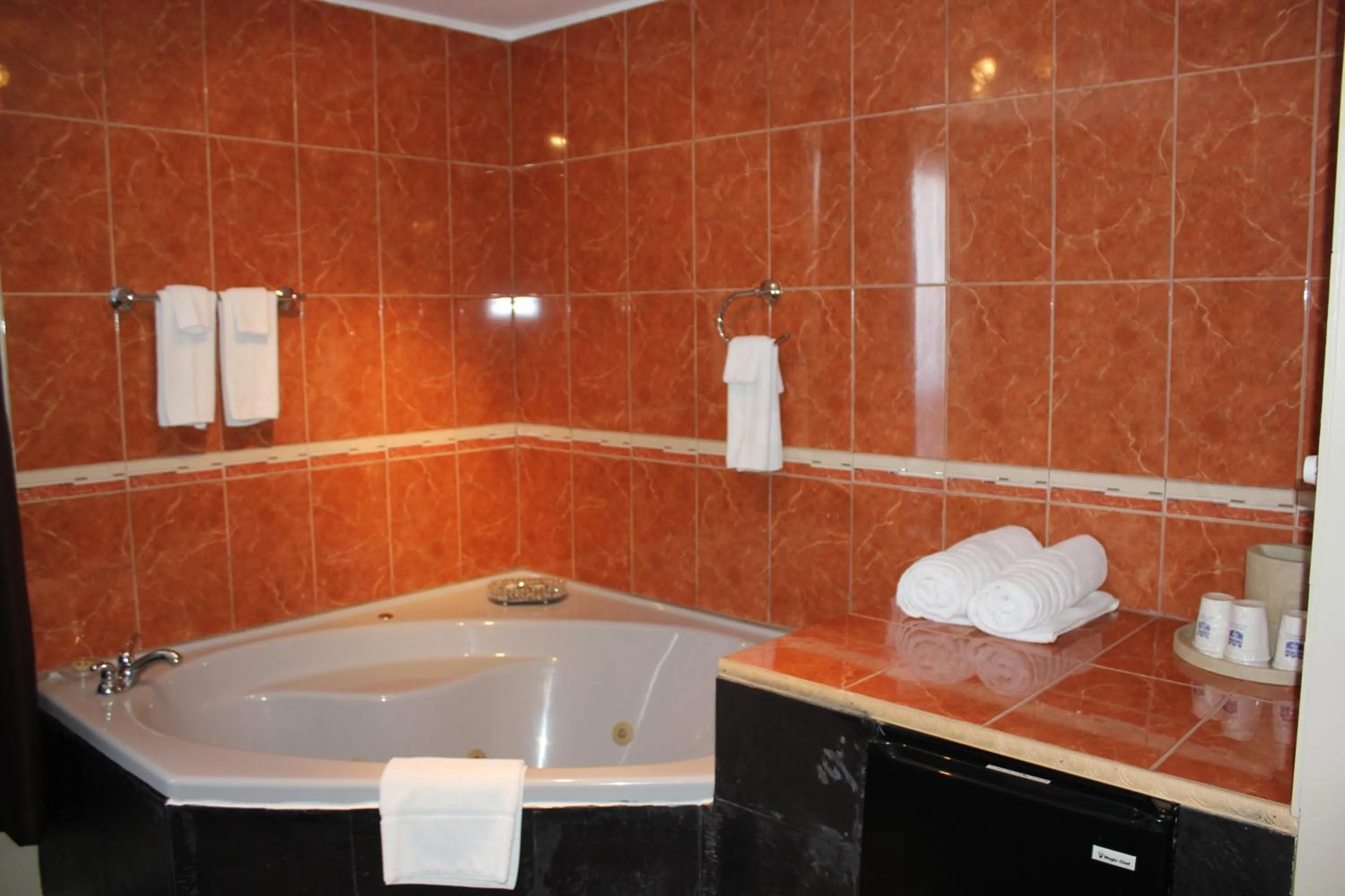 Hot Tub in Nights Inn Owen Sound