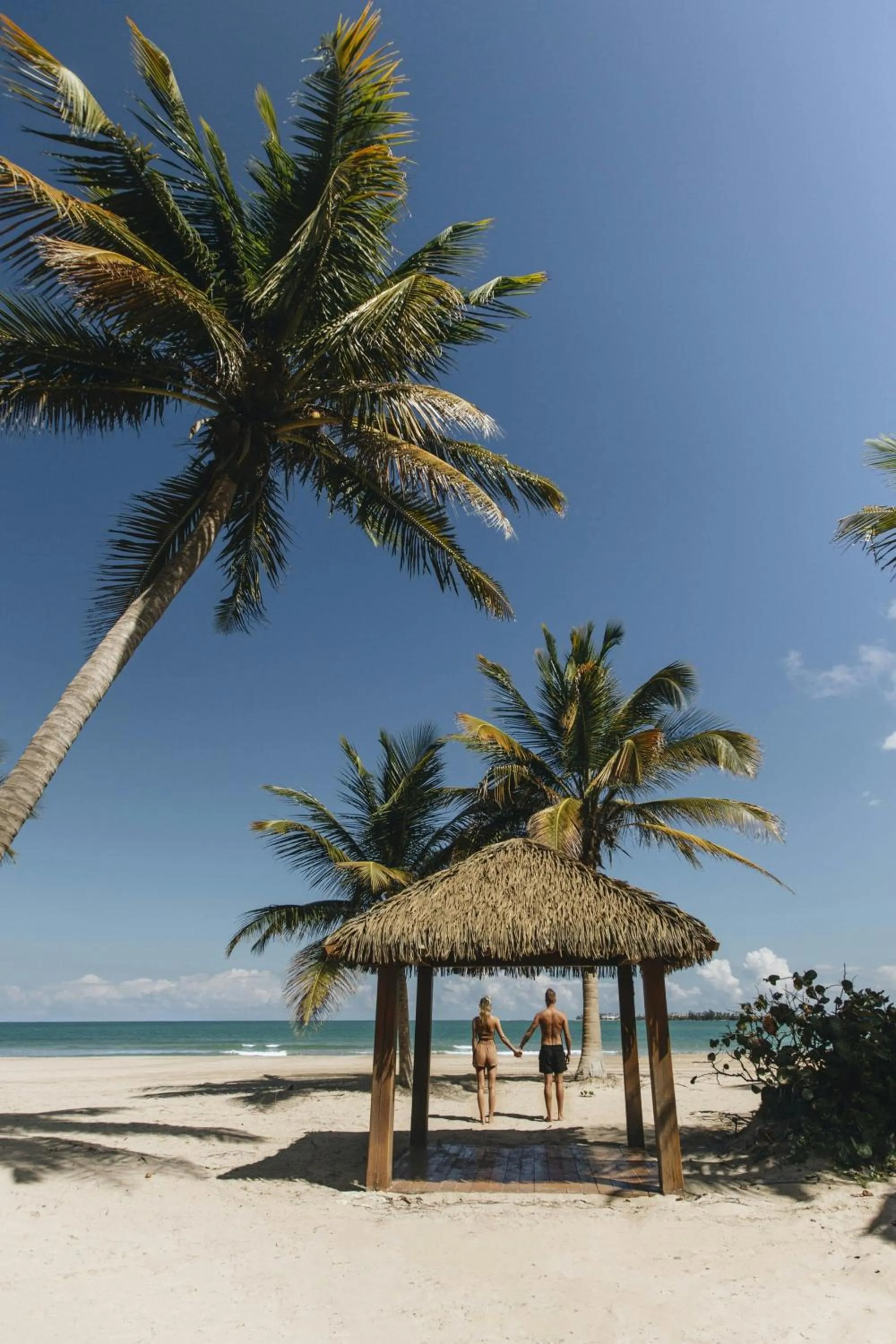 Other in St. Regis Bahia Beach Resort, Puerto Rico
