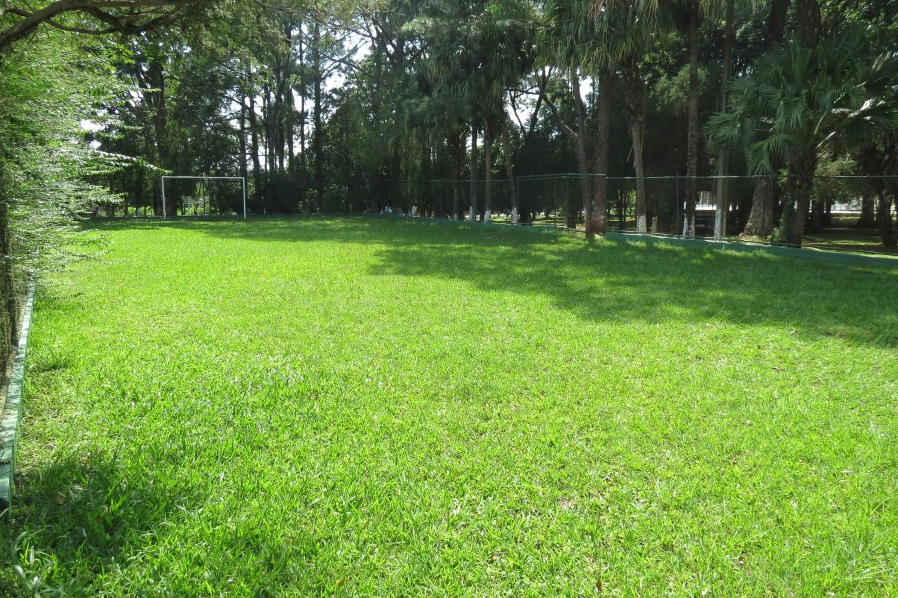 Day in Hotel Monalisa