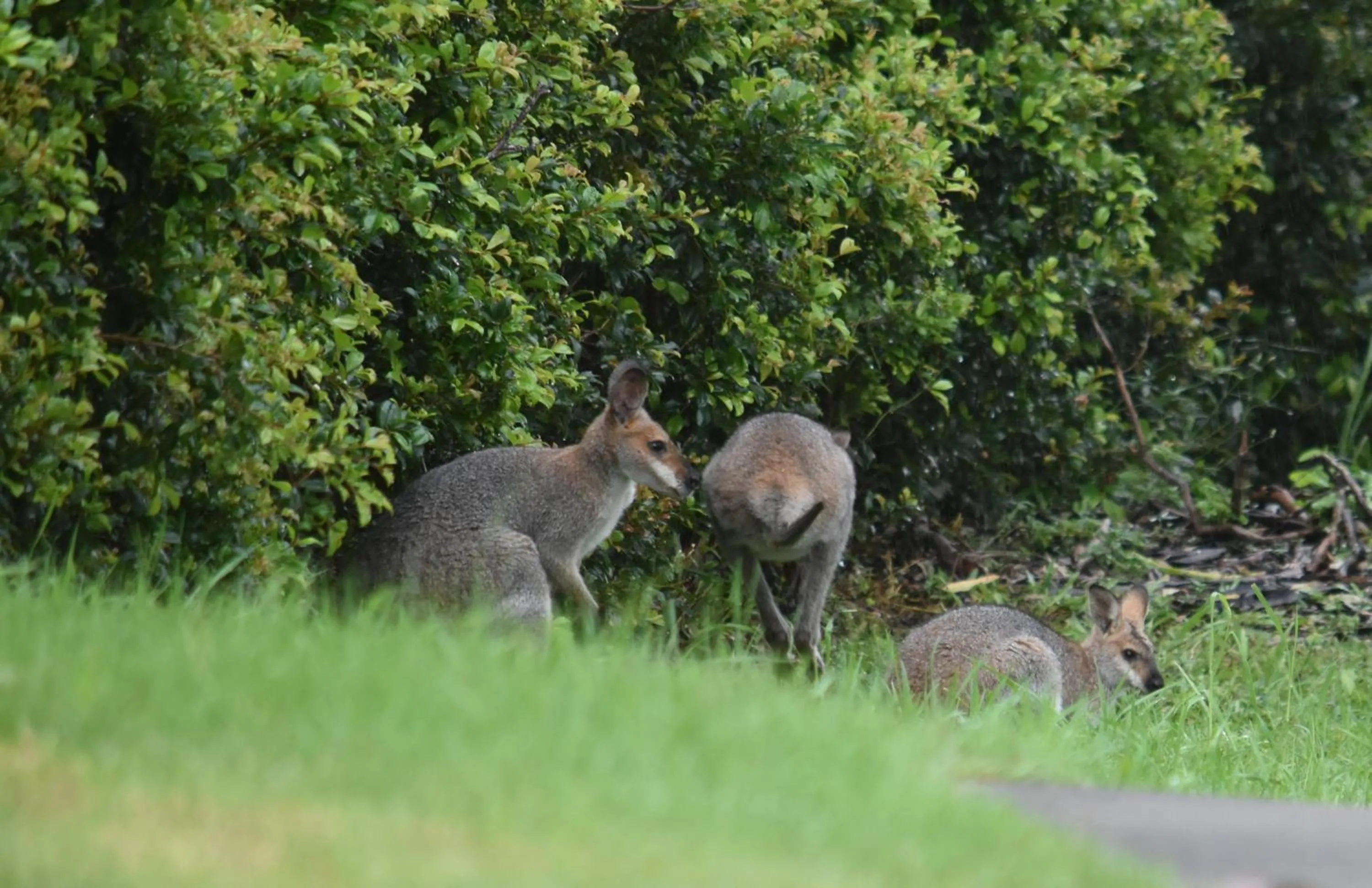 Property building in Mapleton Springs