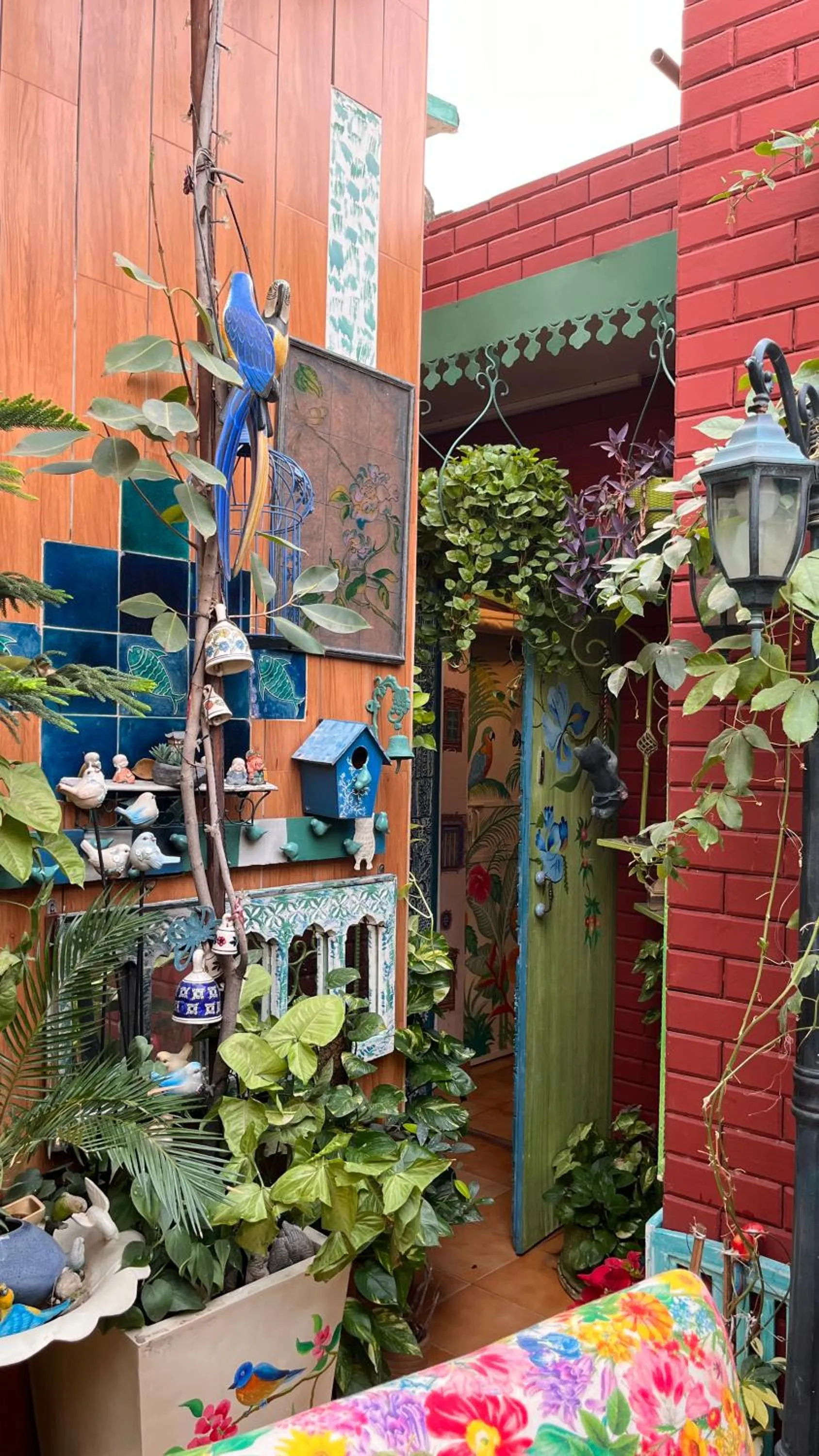 Garden in On The House - Bed and Breakfast