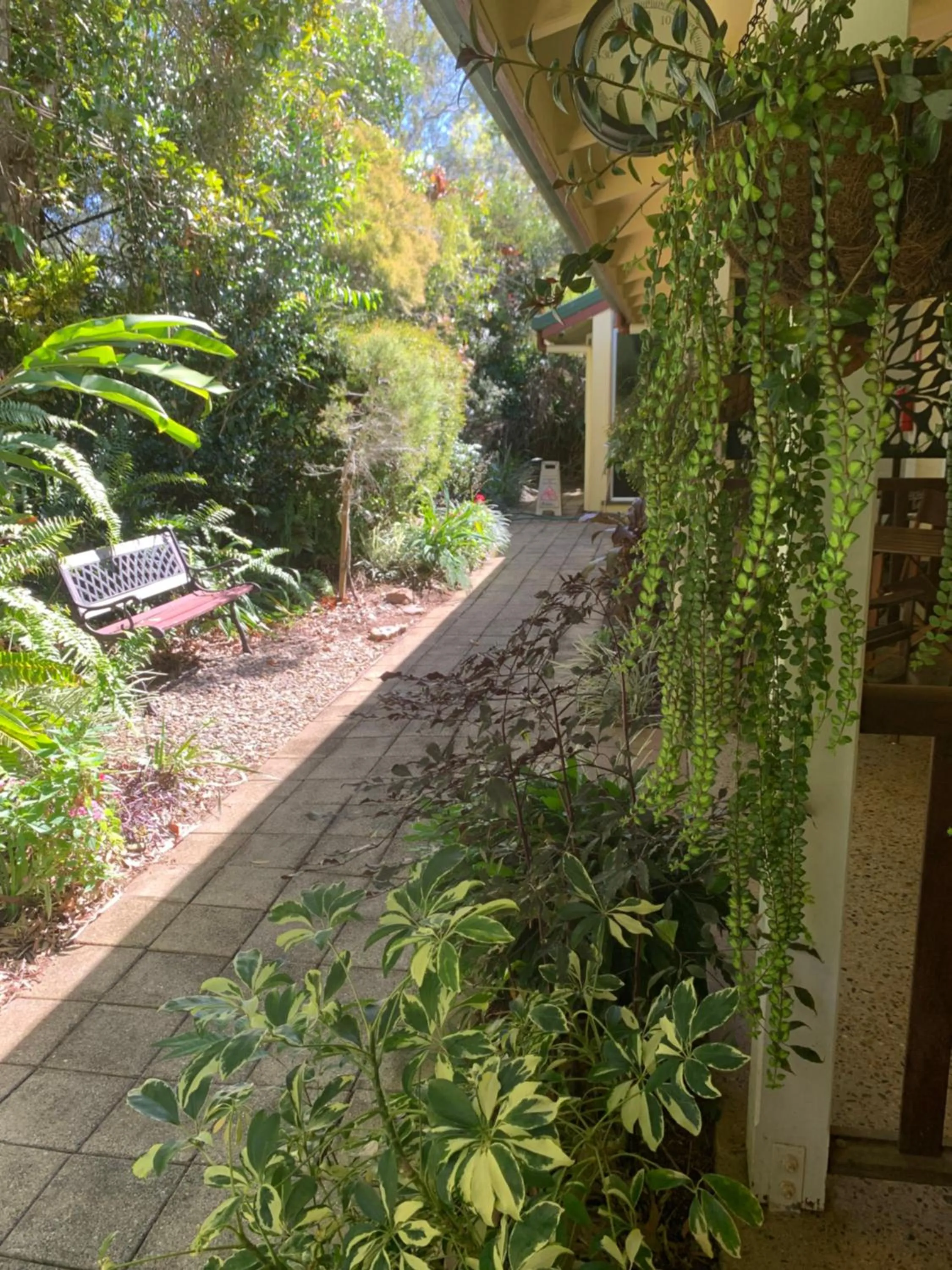 Garden view in Kookaburra Motel Yungaburra