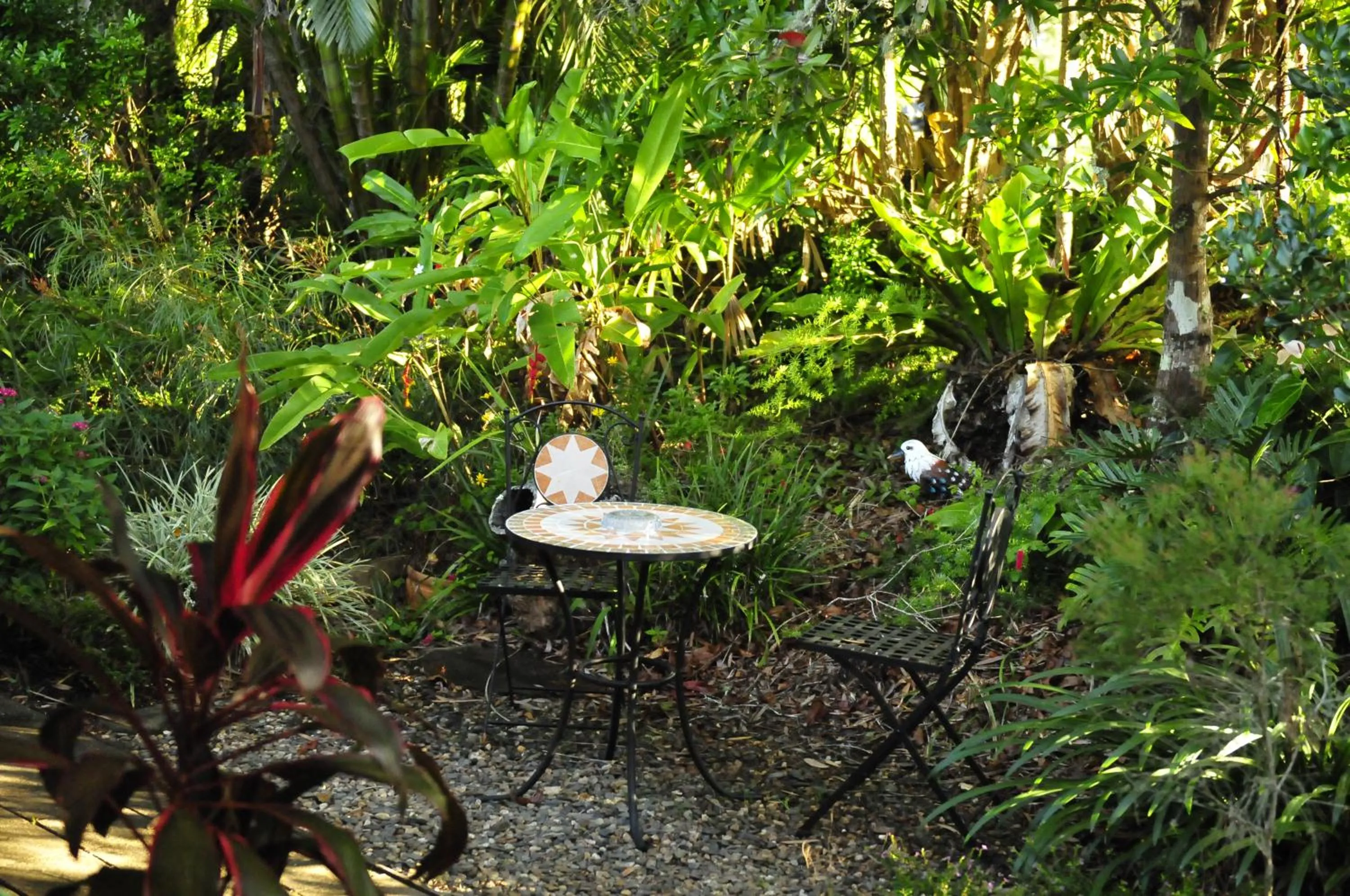 Garden in Kookaburra Motel Yungaburra