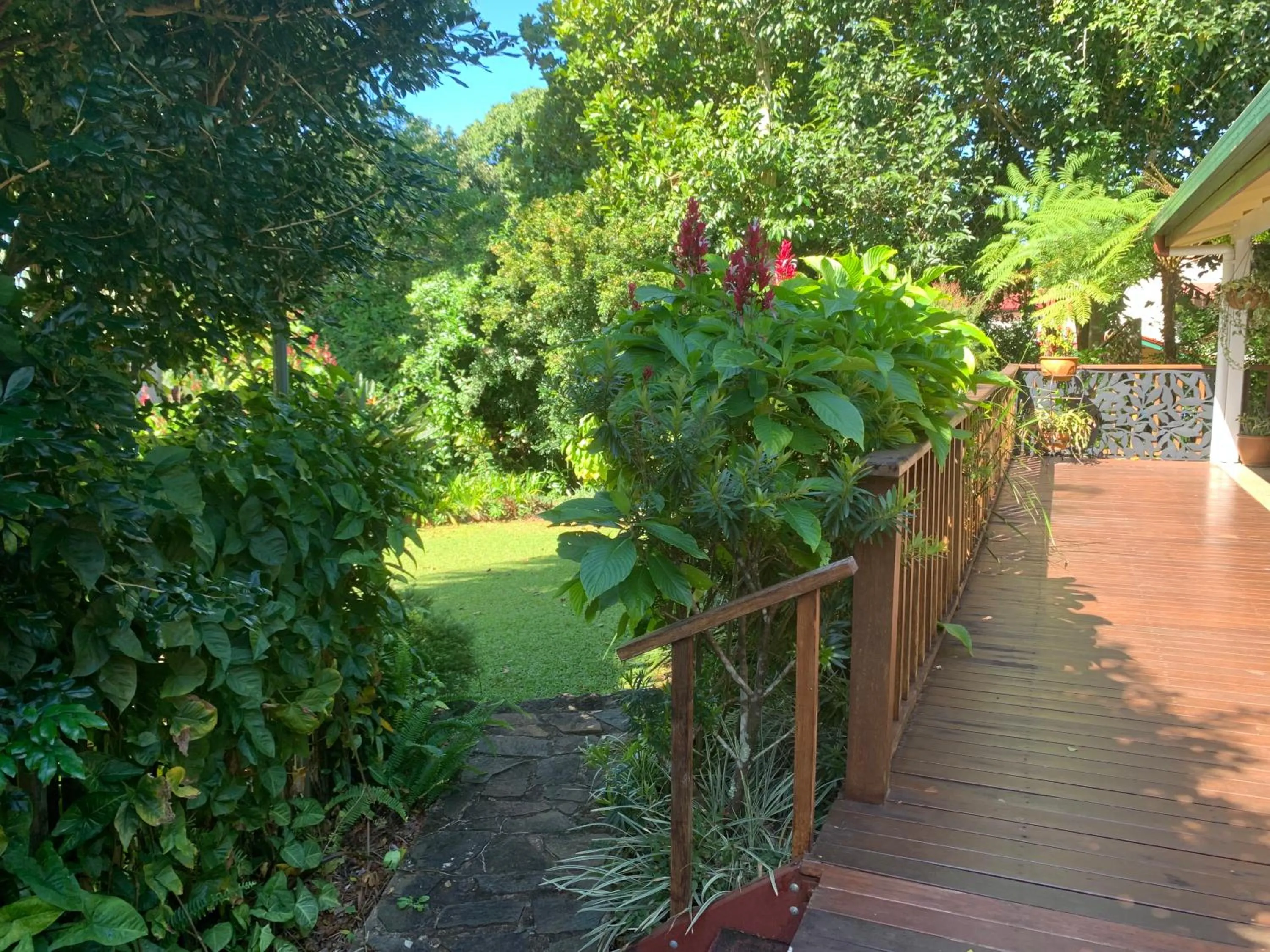 Garden in Kookaburra Motel Yungaburra