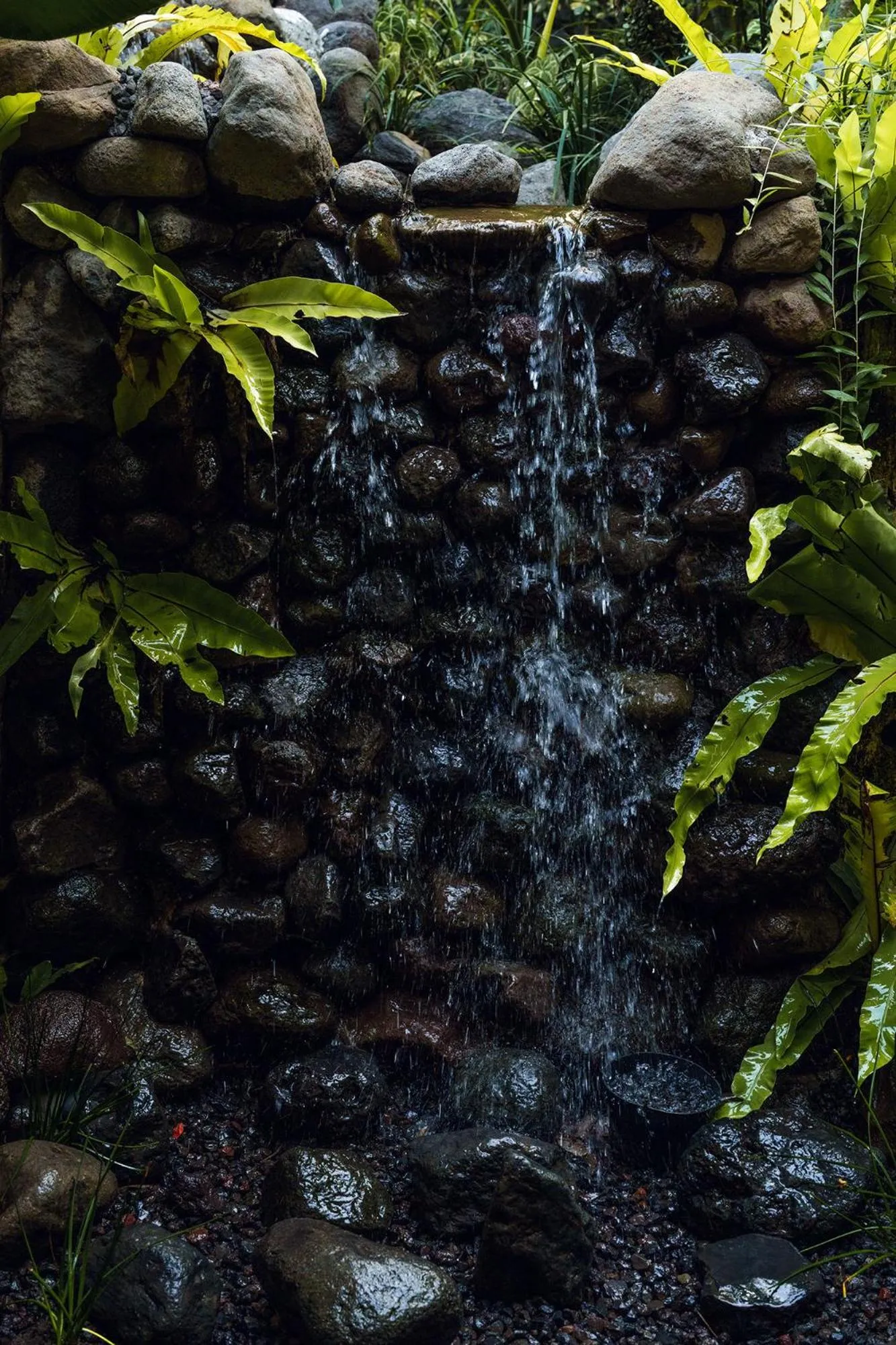 Natural landscape in Rama Phala Resort & Spa