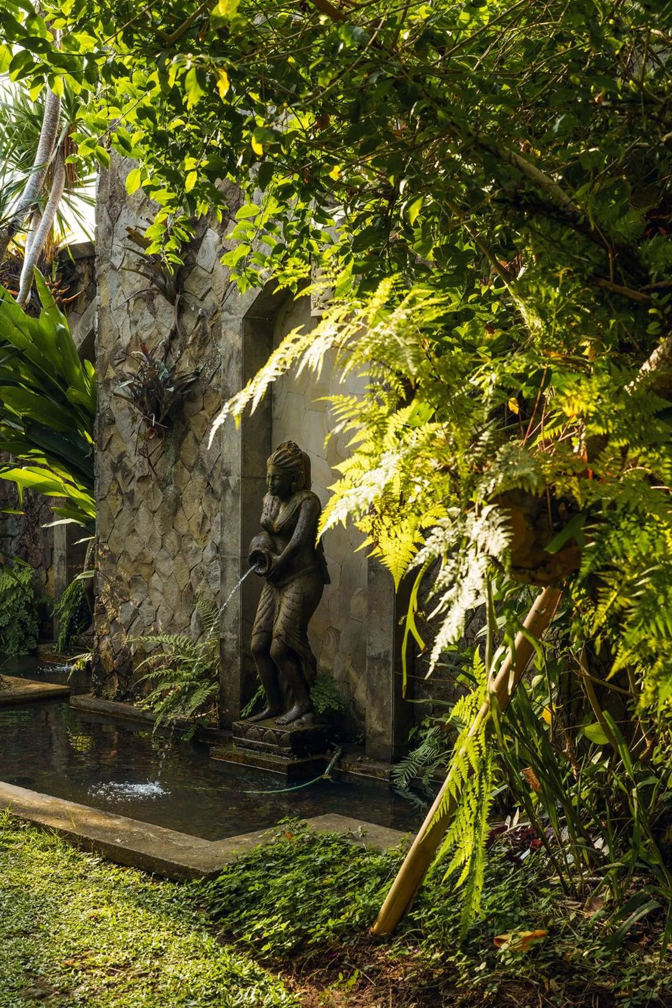 Natural landscape in Rama Phala Resort & Spa