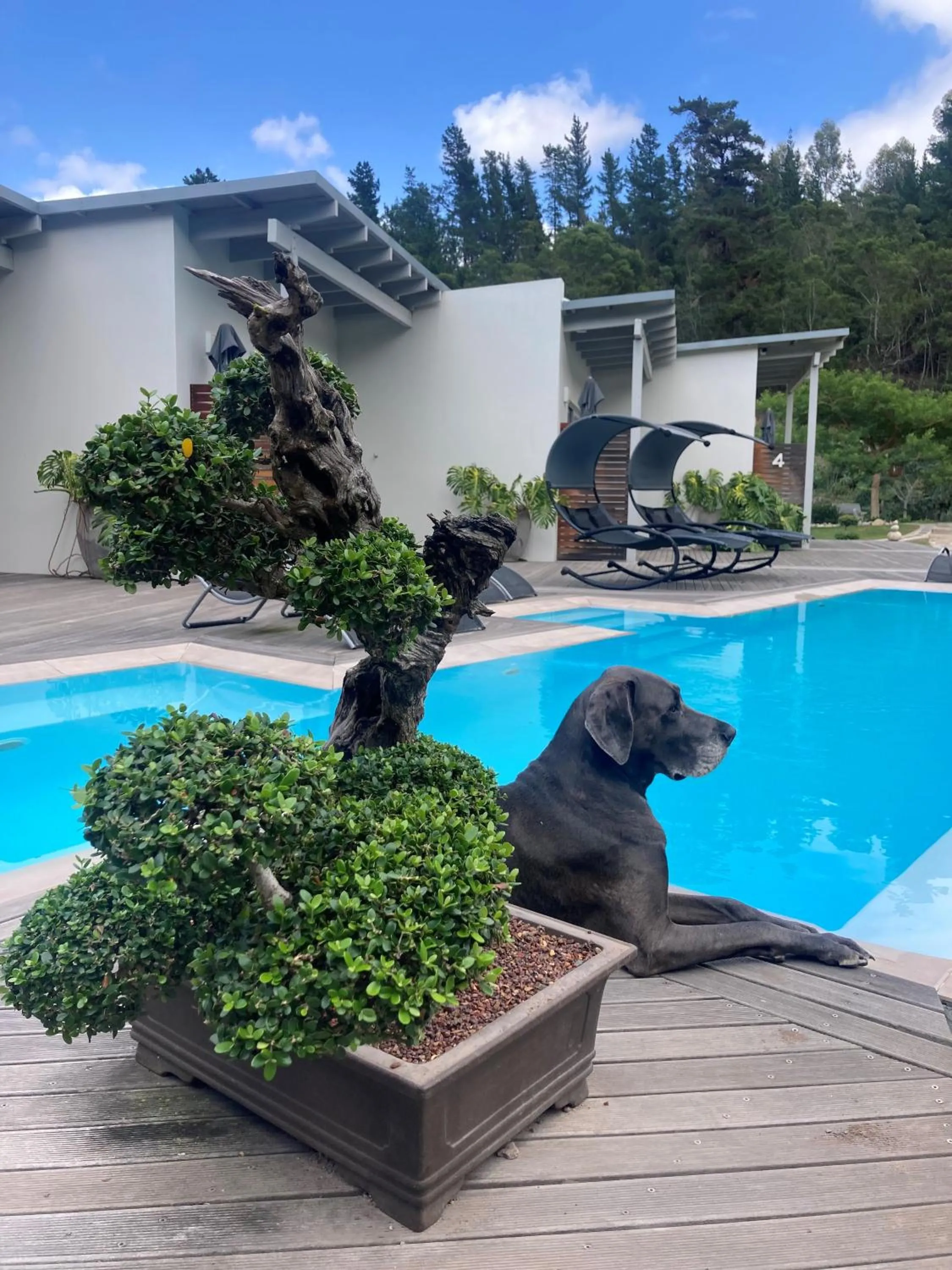 Property building in A Riverbed Guesthouse