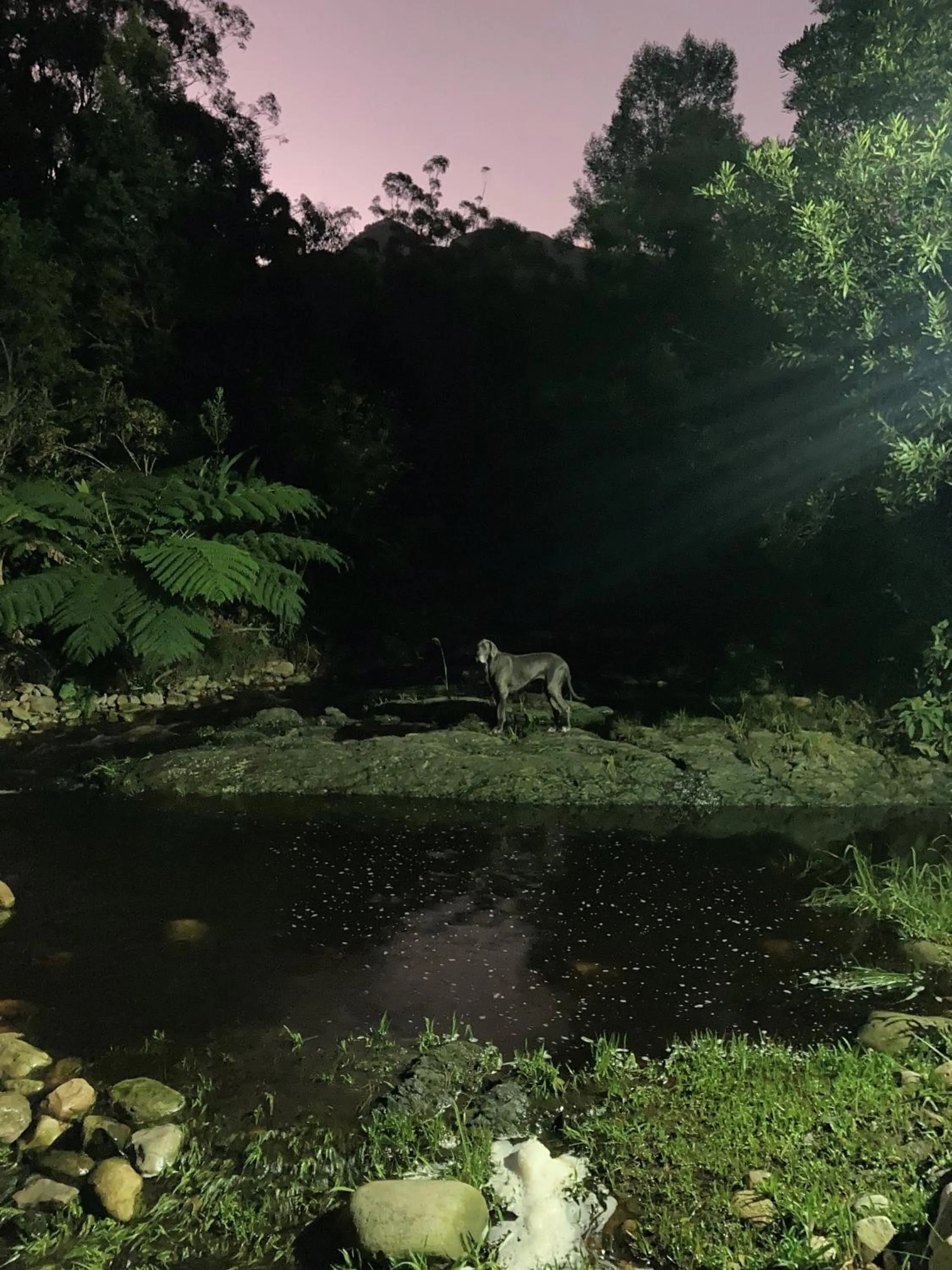 River view in A Riverbed Guesthouse