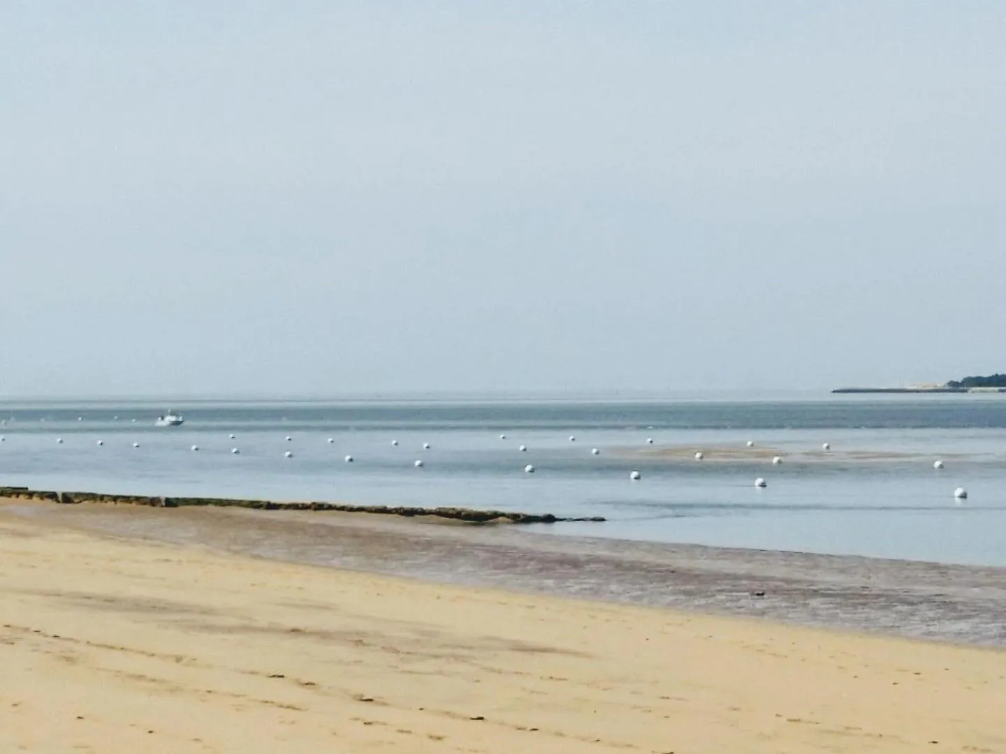 View (from property/room) in Appartement Panoramic