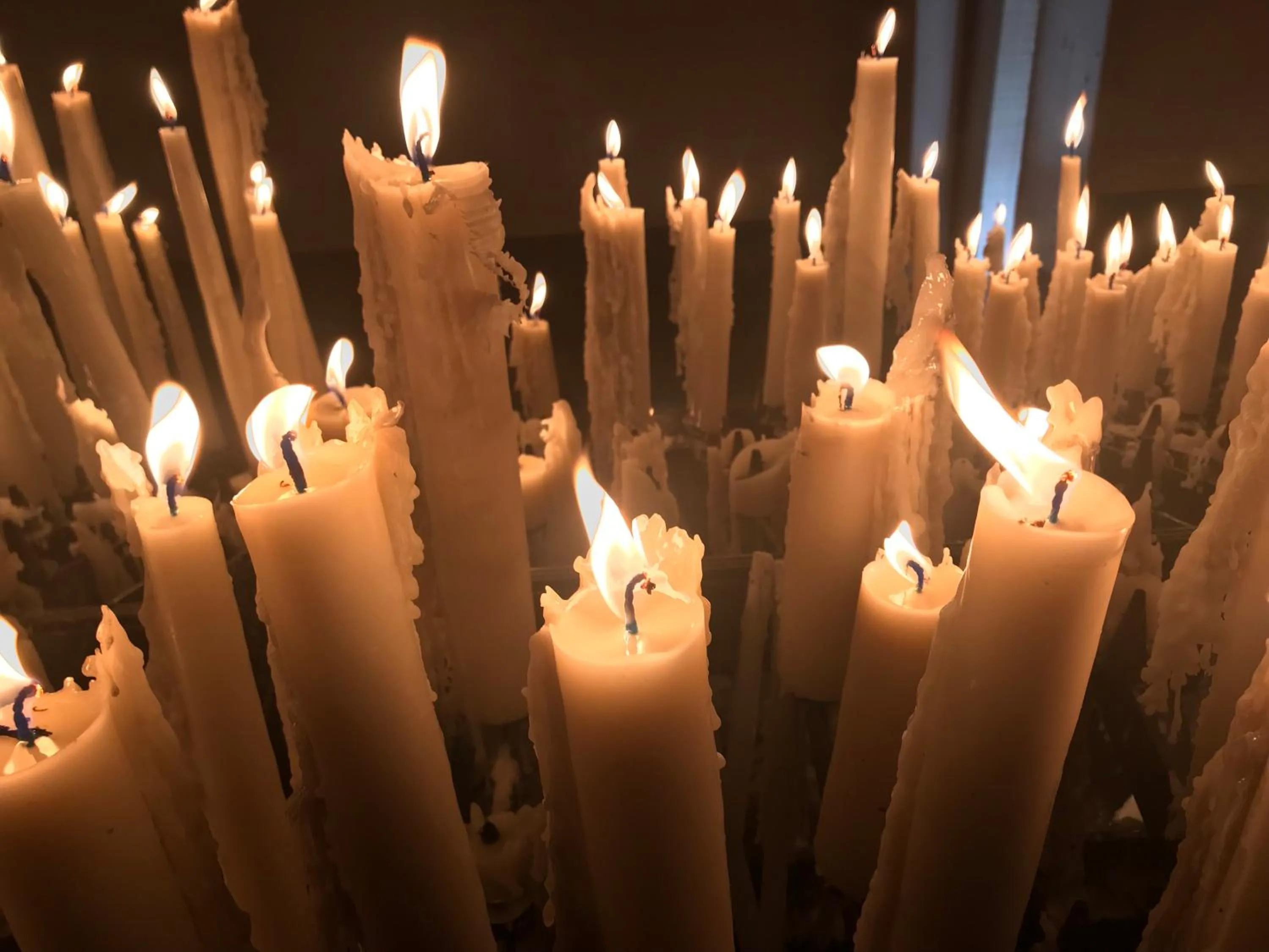 Other in Hôtel Myosotis