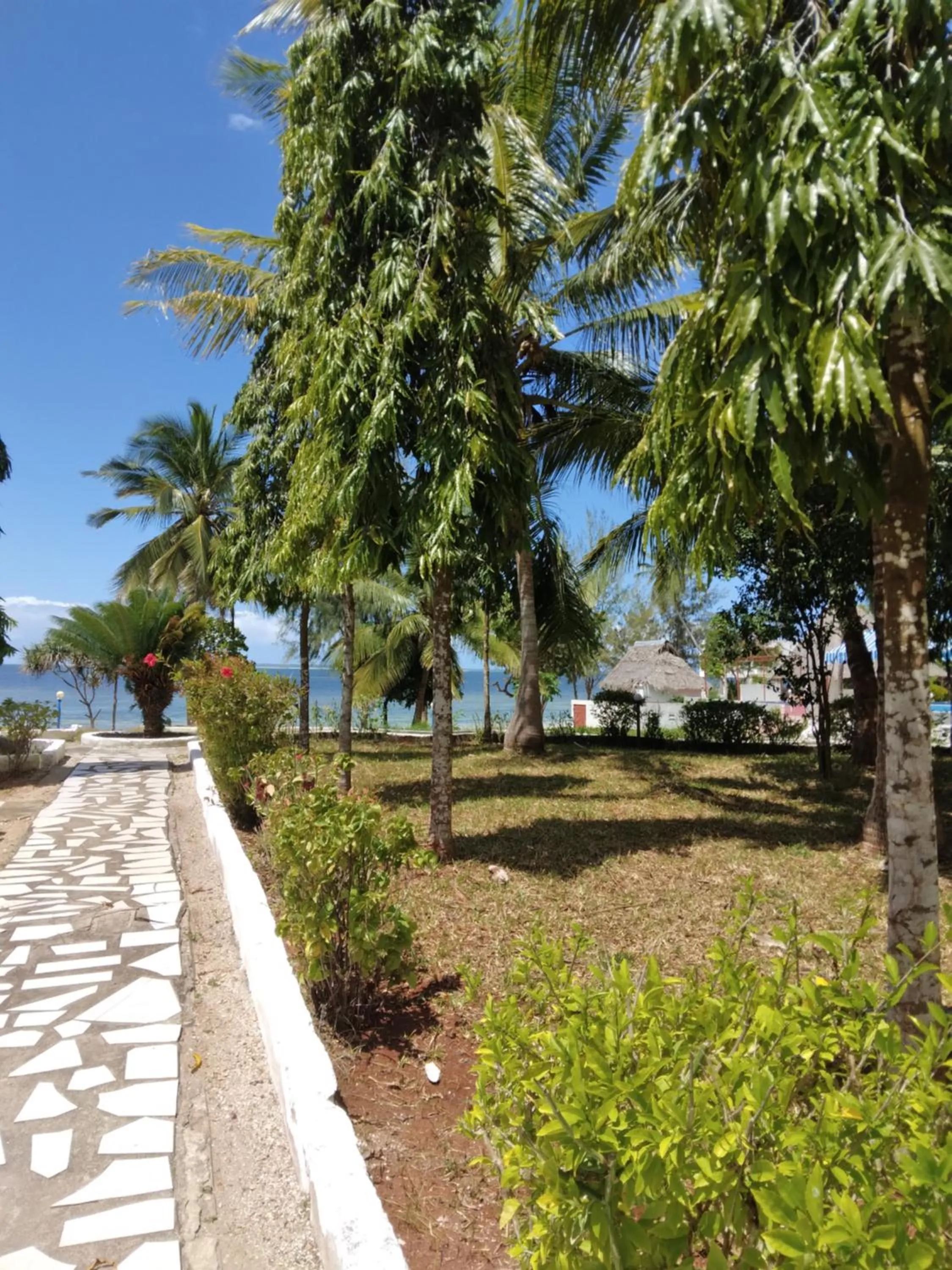 Garden in Coconut Tree Village Beach Resort