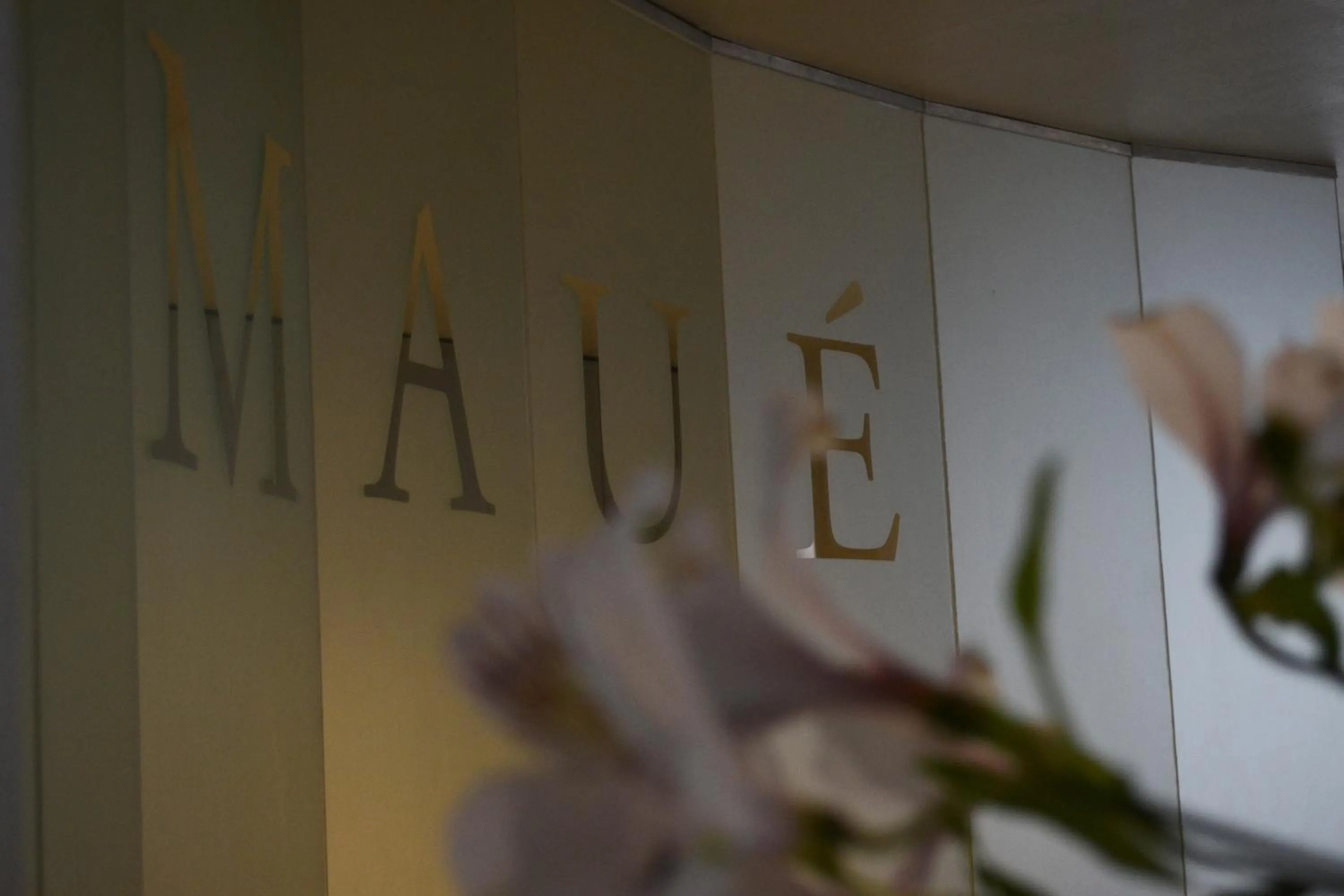 Lobby or reception in Apart Hotel Maue