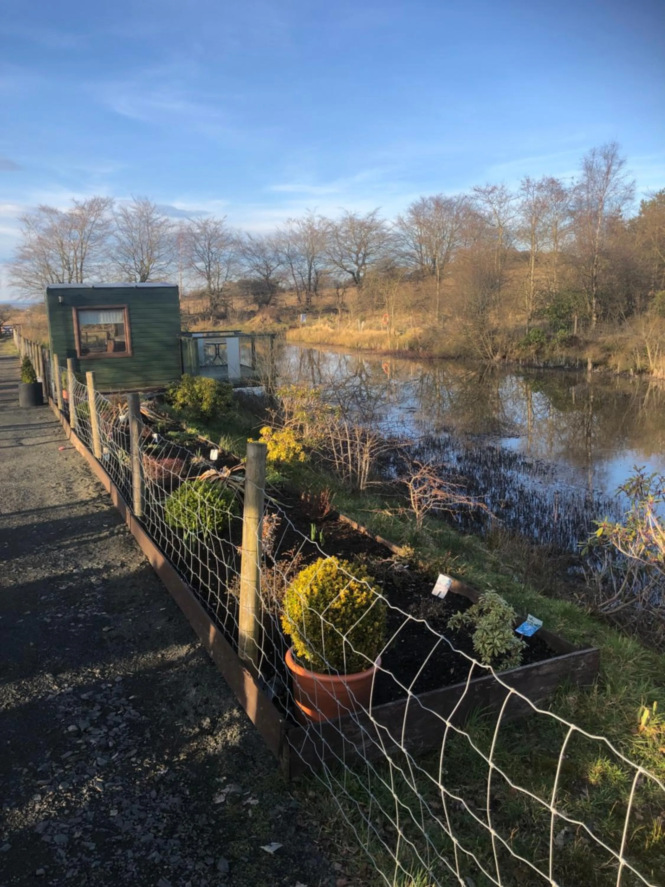 Garden view in Fairview Bed and Breakfast