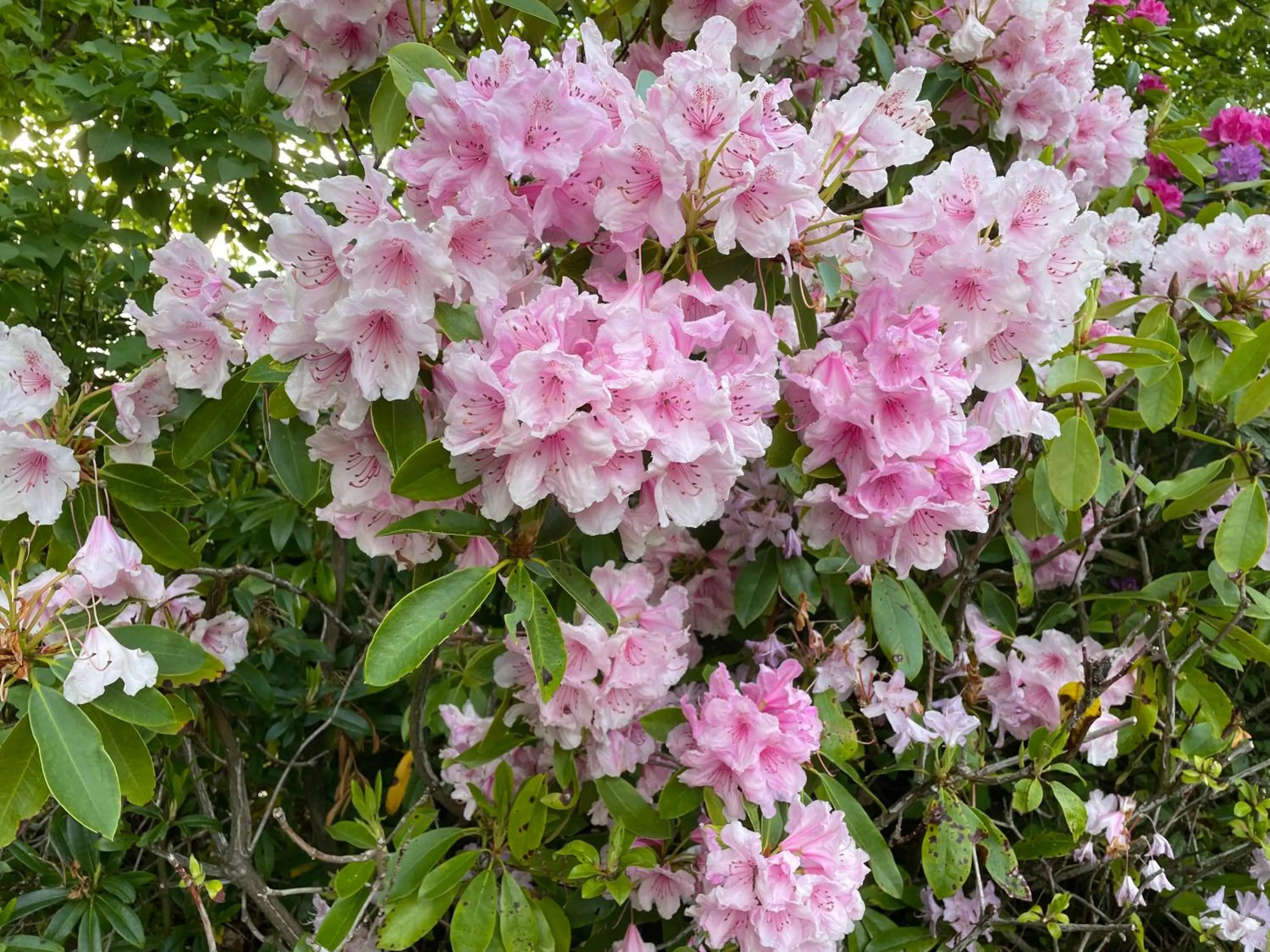 Property building in Fairview Bed and Breakfast