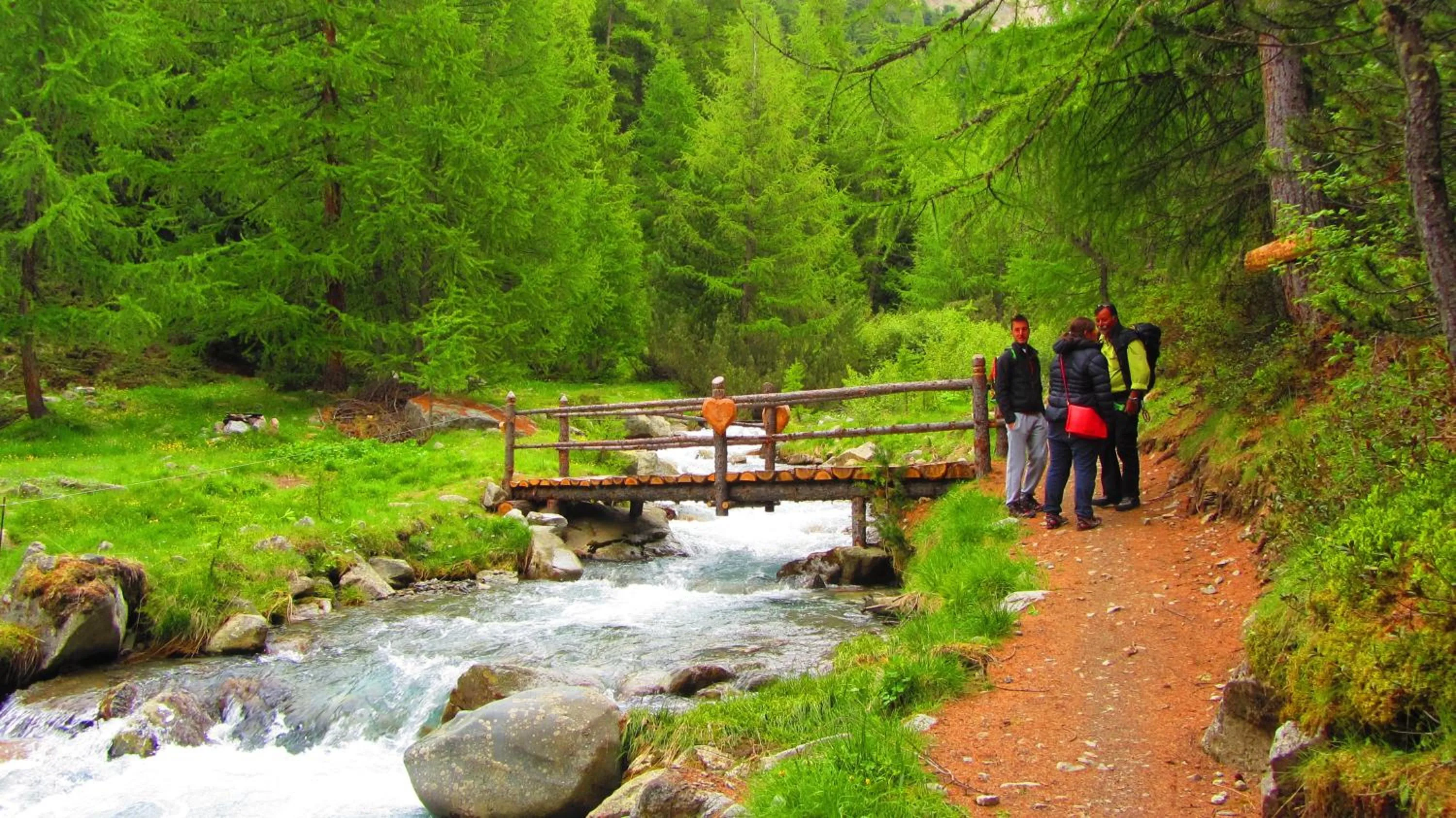 Area and facilities in Hotel Loredana