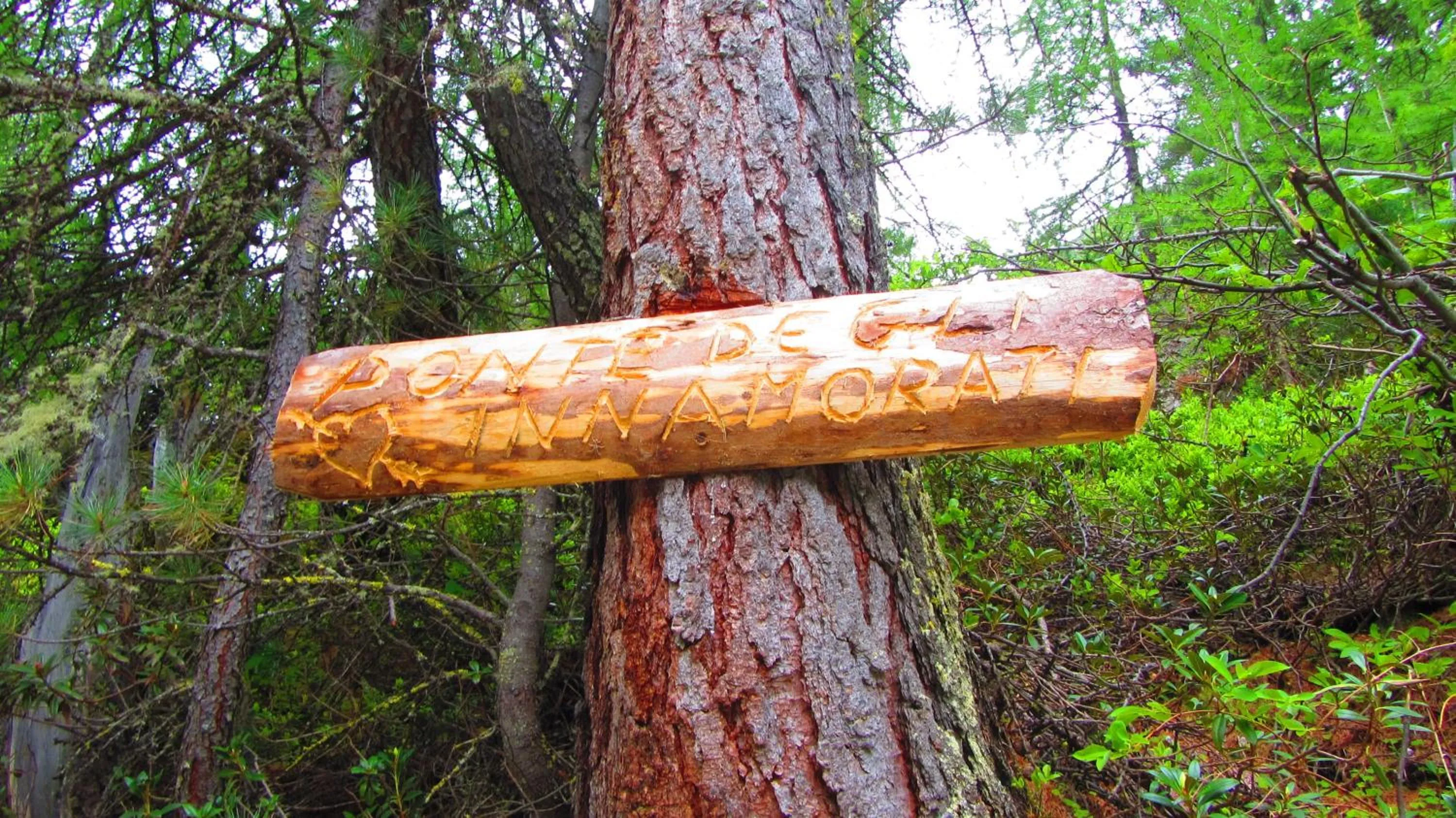 Area and facilities in Hotel Loredana