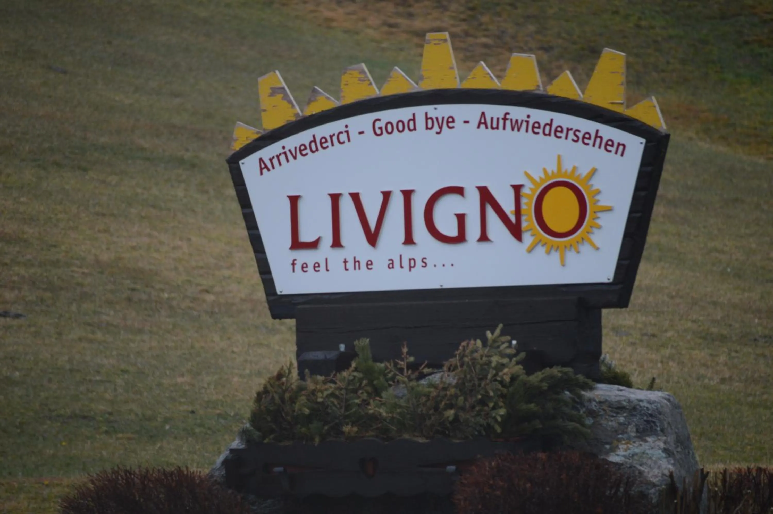 Area and facilities in Hotel Loredana