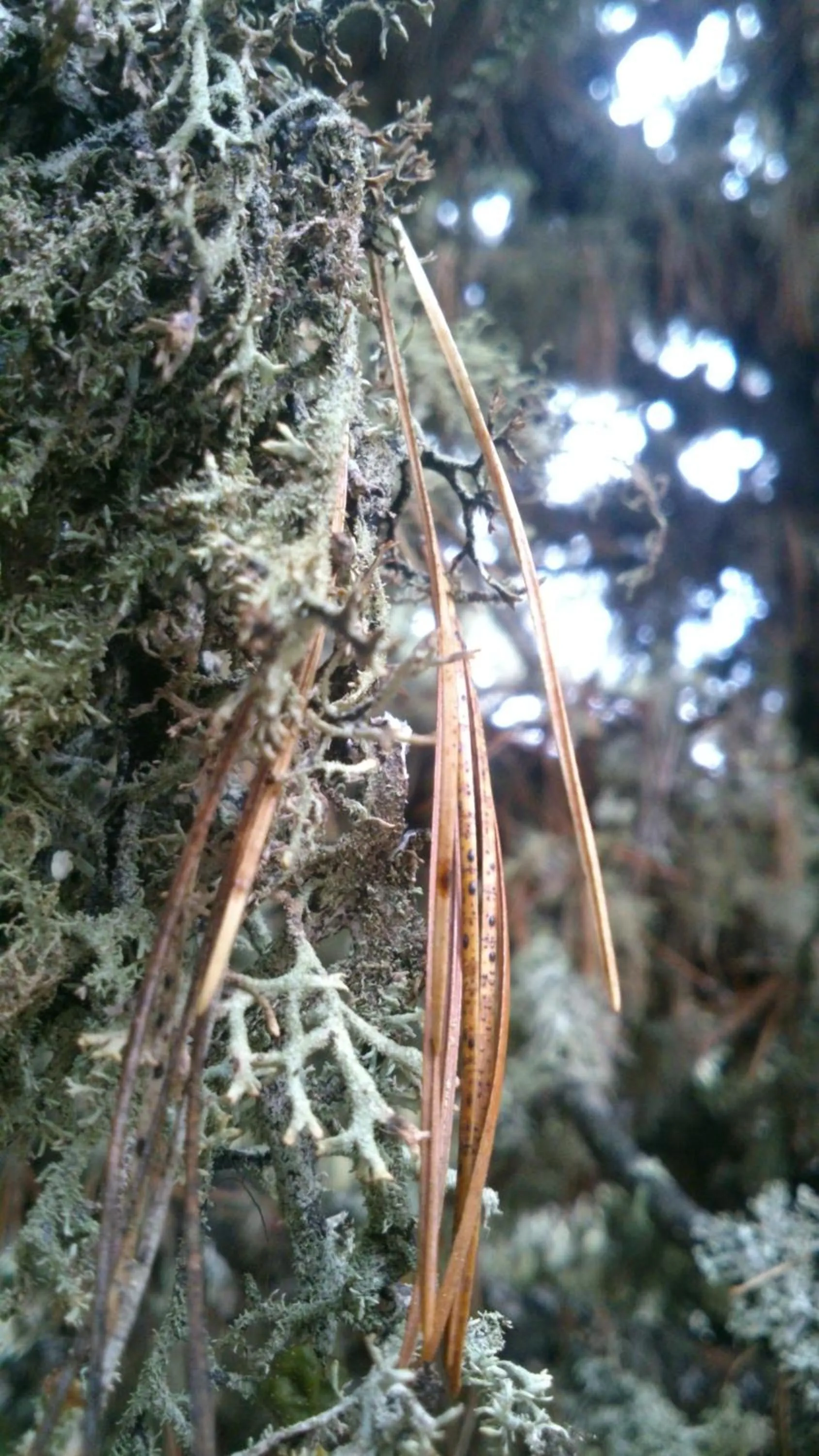 Area and facilities in Hotel Loredana