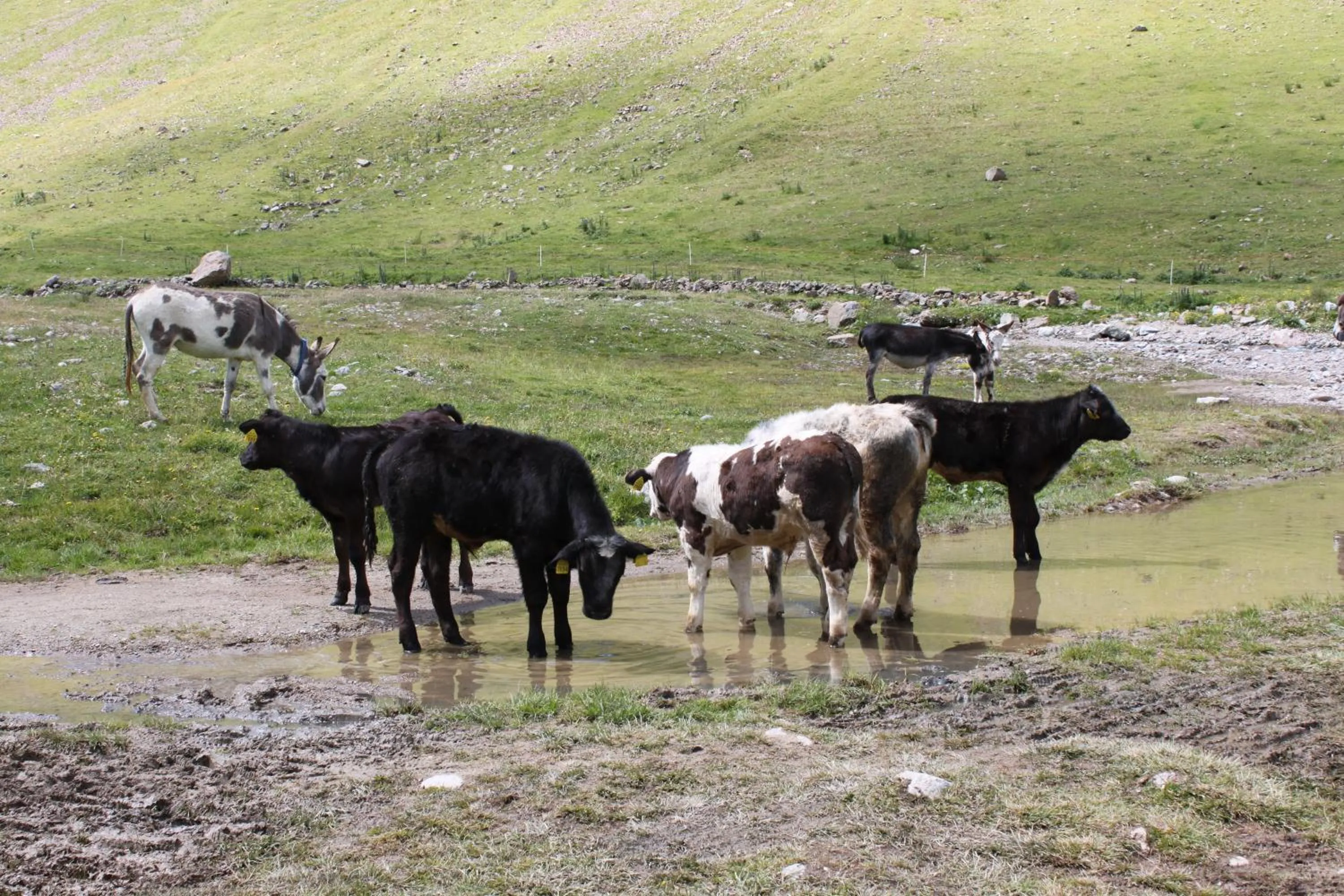 Area and facilities in Hotel Loredana