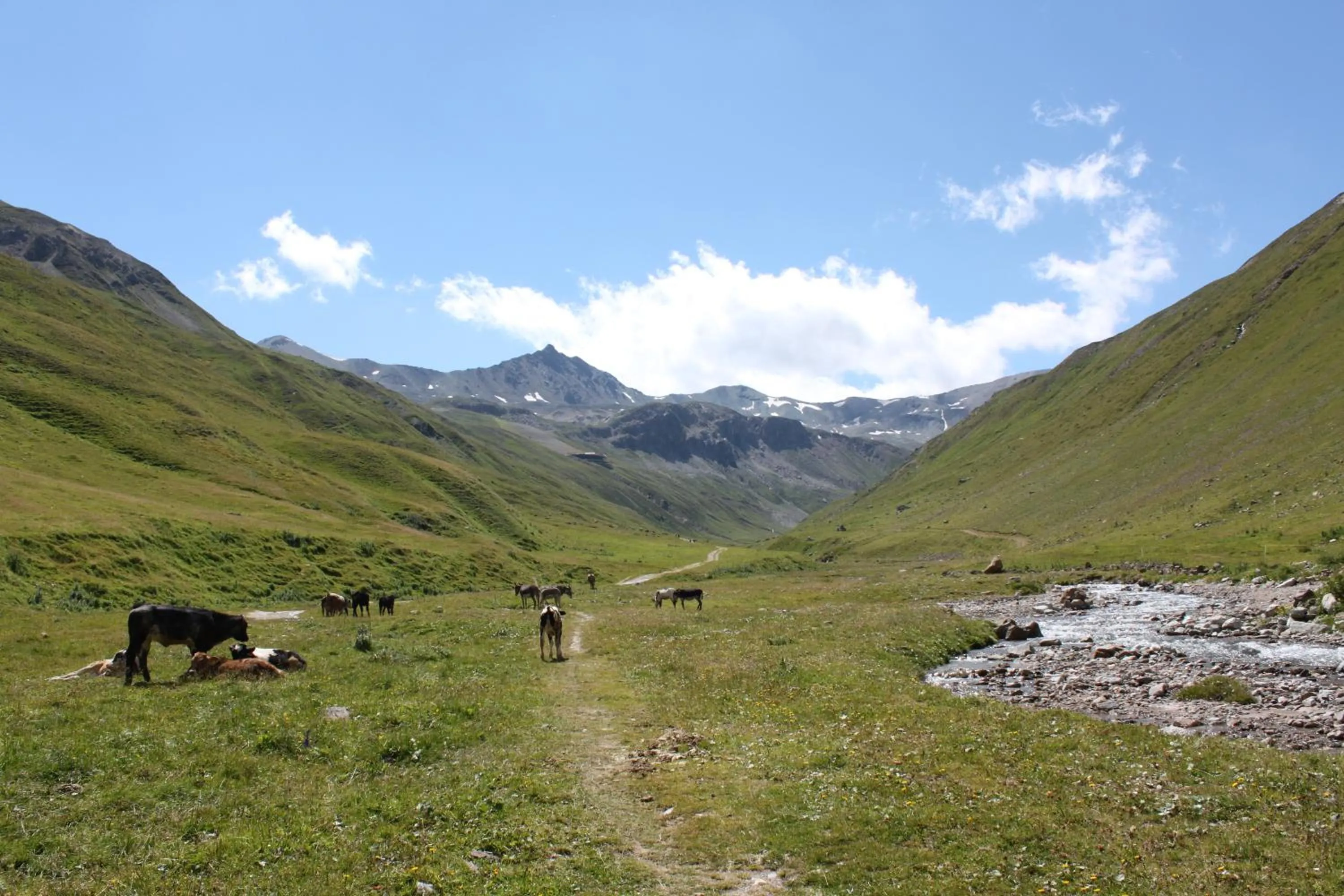 Area and facilities in Hotel Loredana