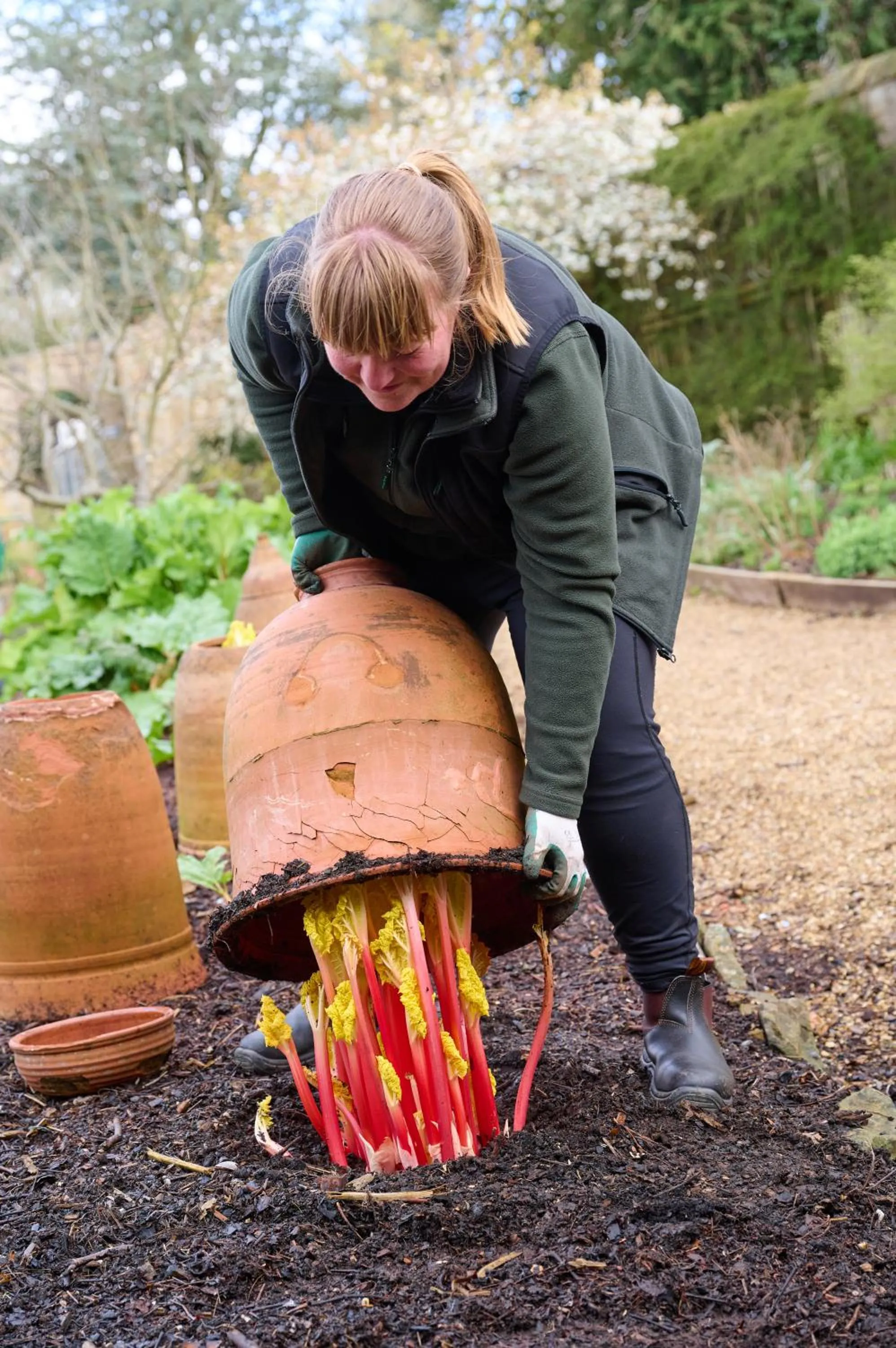 Garden in Fischers Baslow Hall - Chatsworth