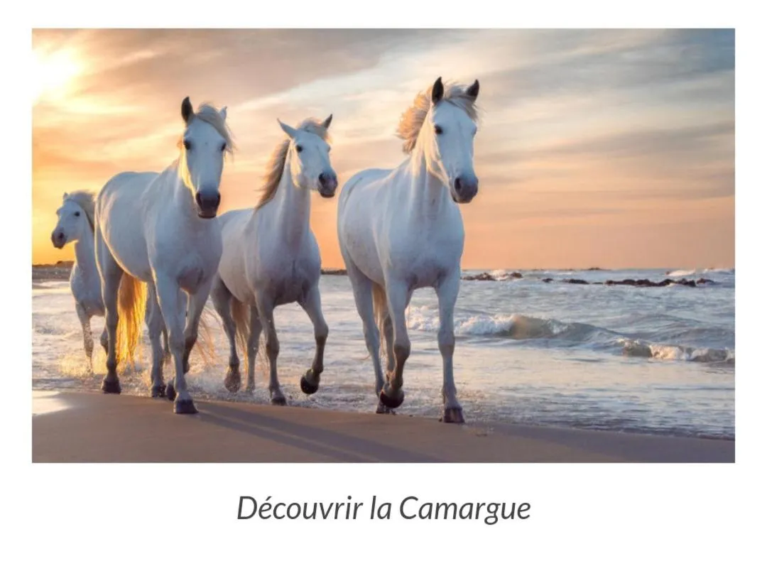 Natural landscape in Mas Armelin