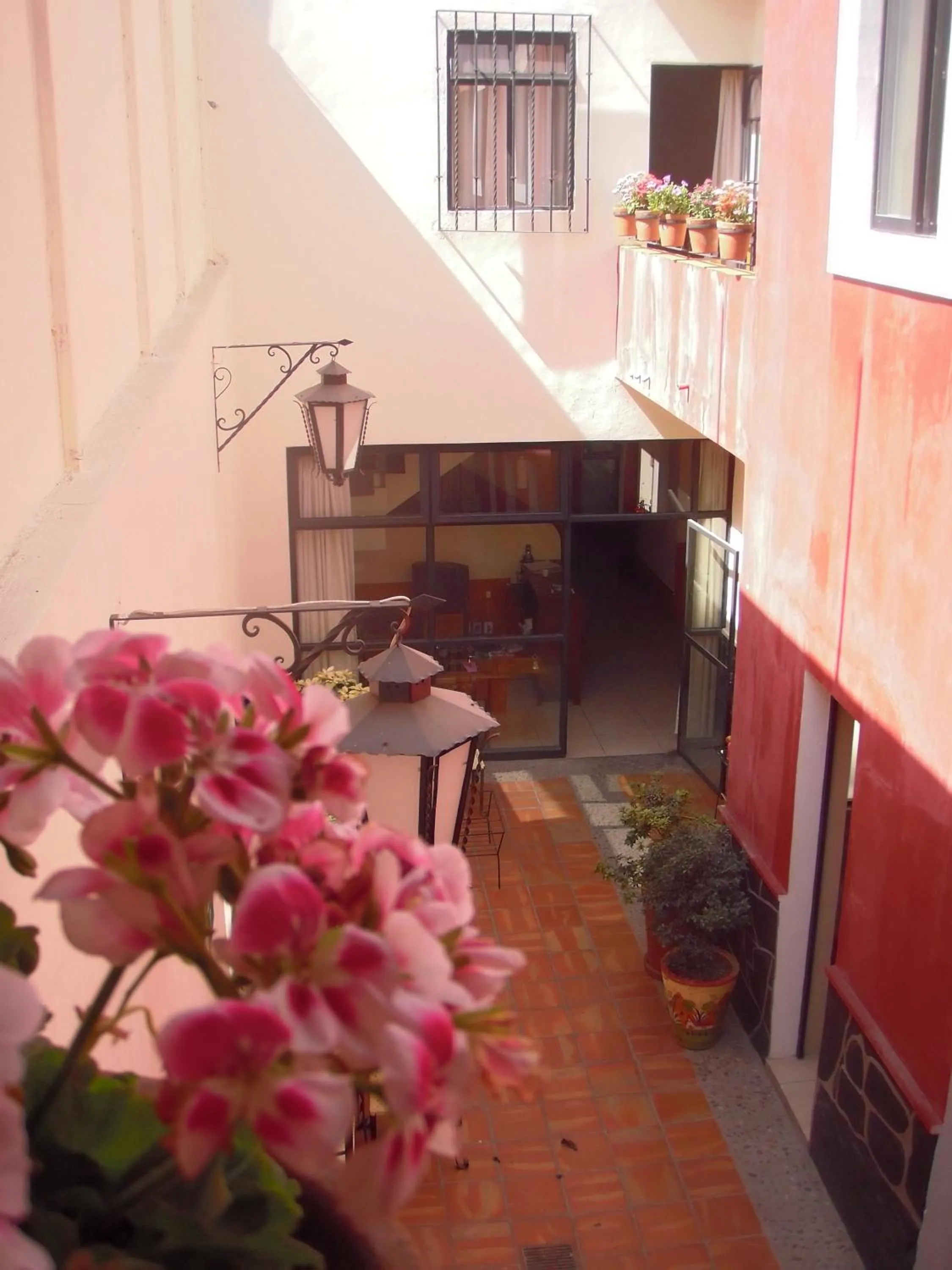 Olga Querida B&B Hostal