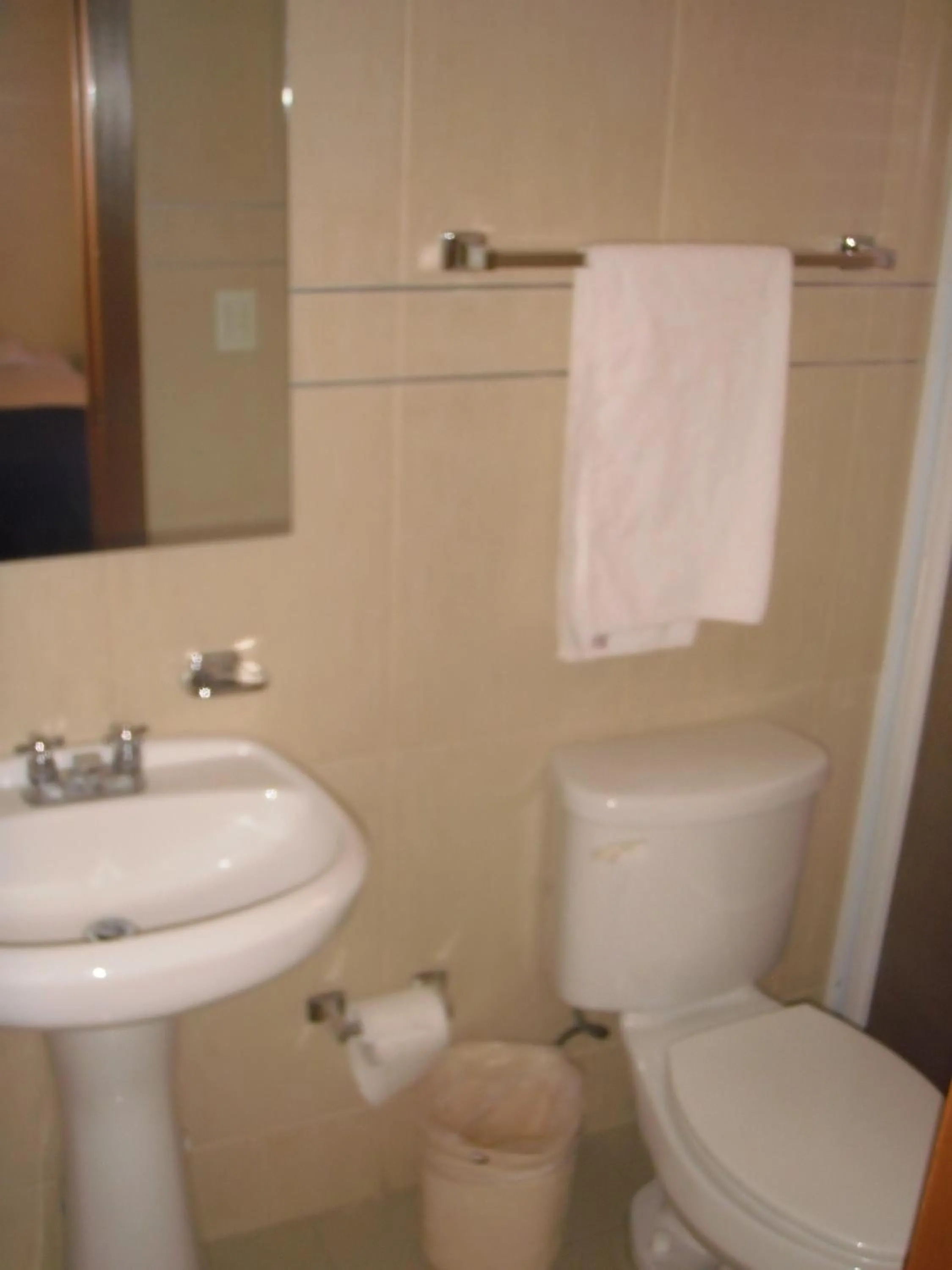 Olga Querida B&B Hostal