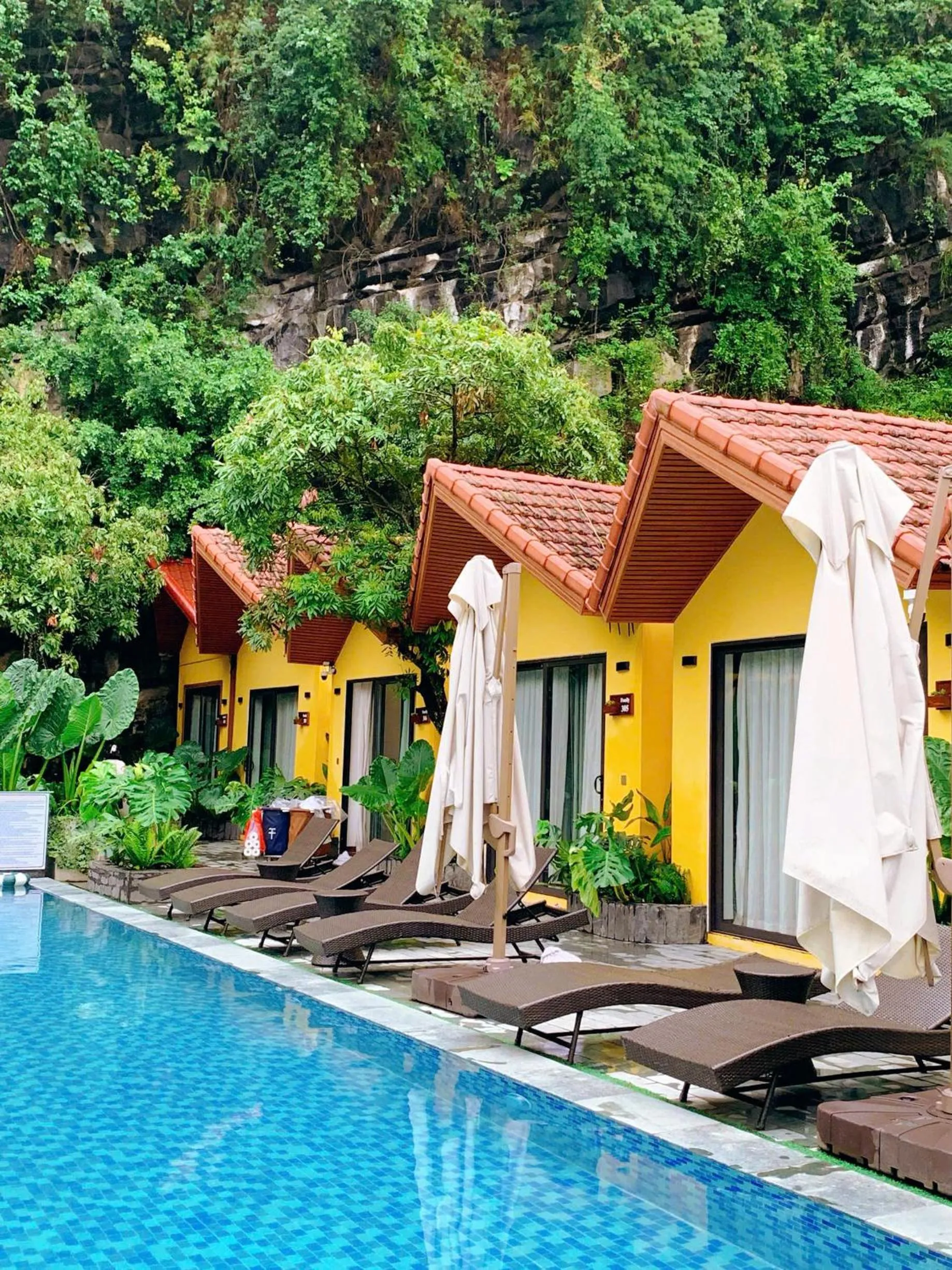 Garden view in For You Ninh Bình Boutique