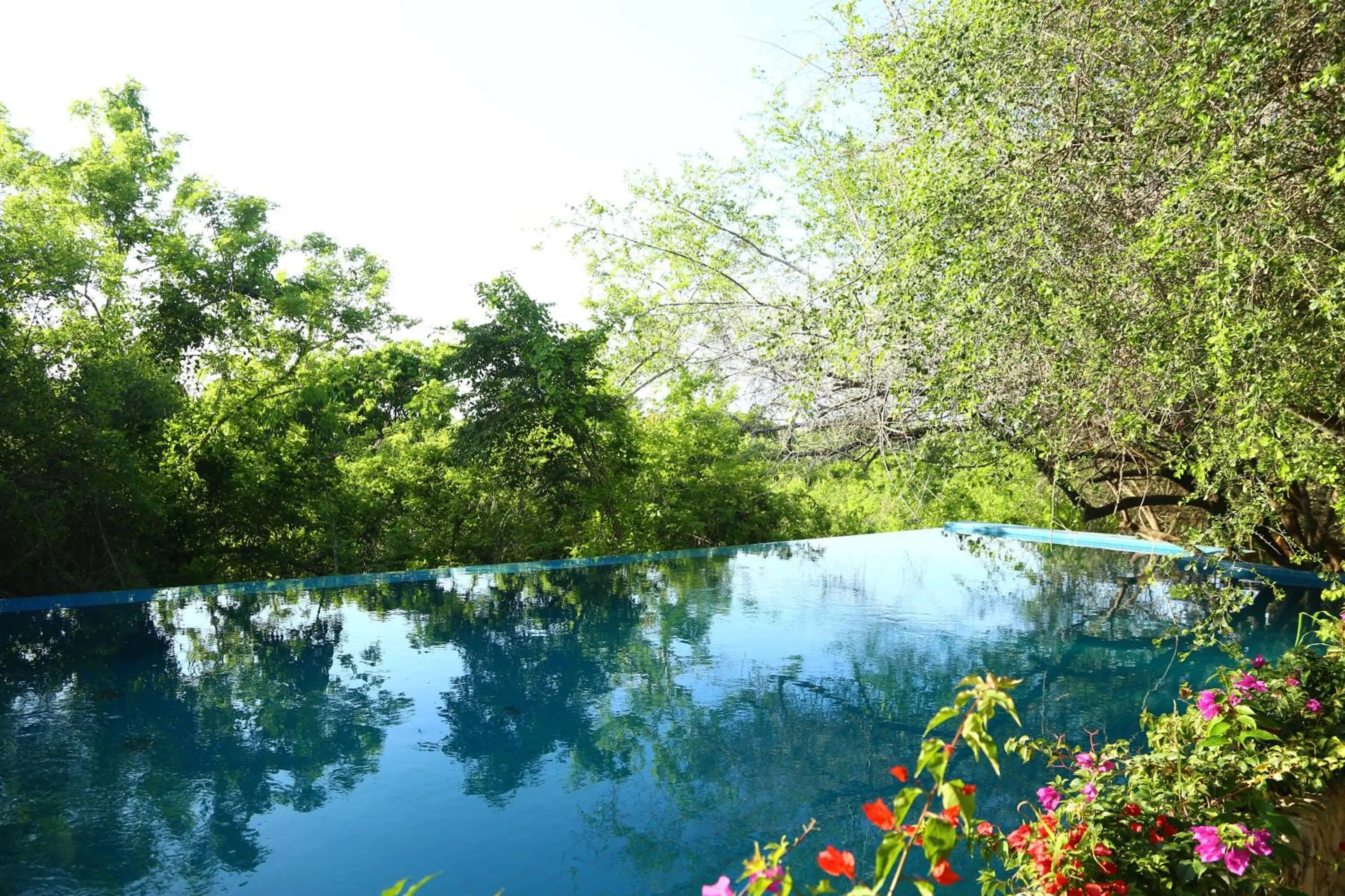 Swimming pool in Hotel Las Islas