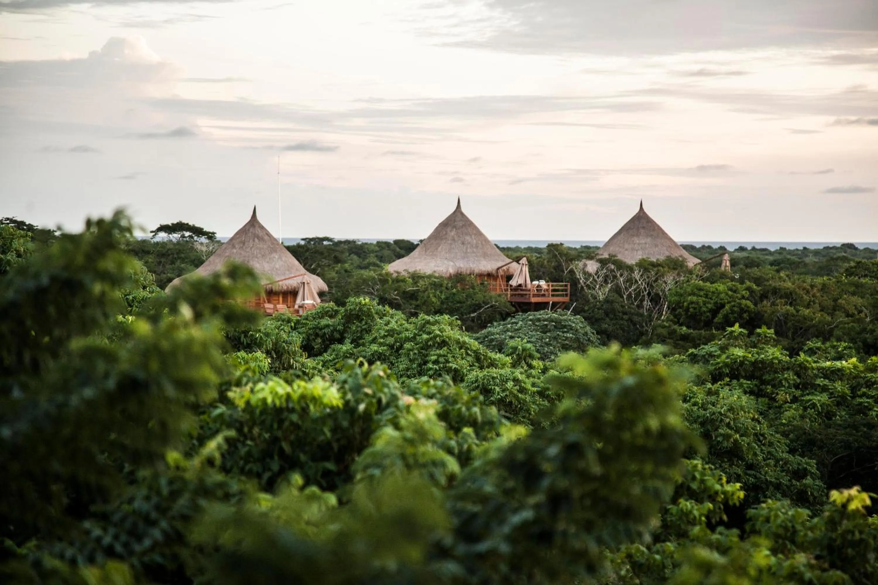 Natural landscape in Hotel Las Islas