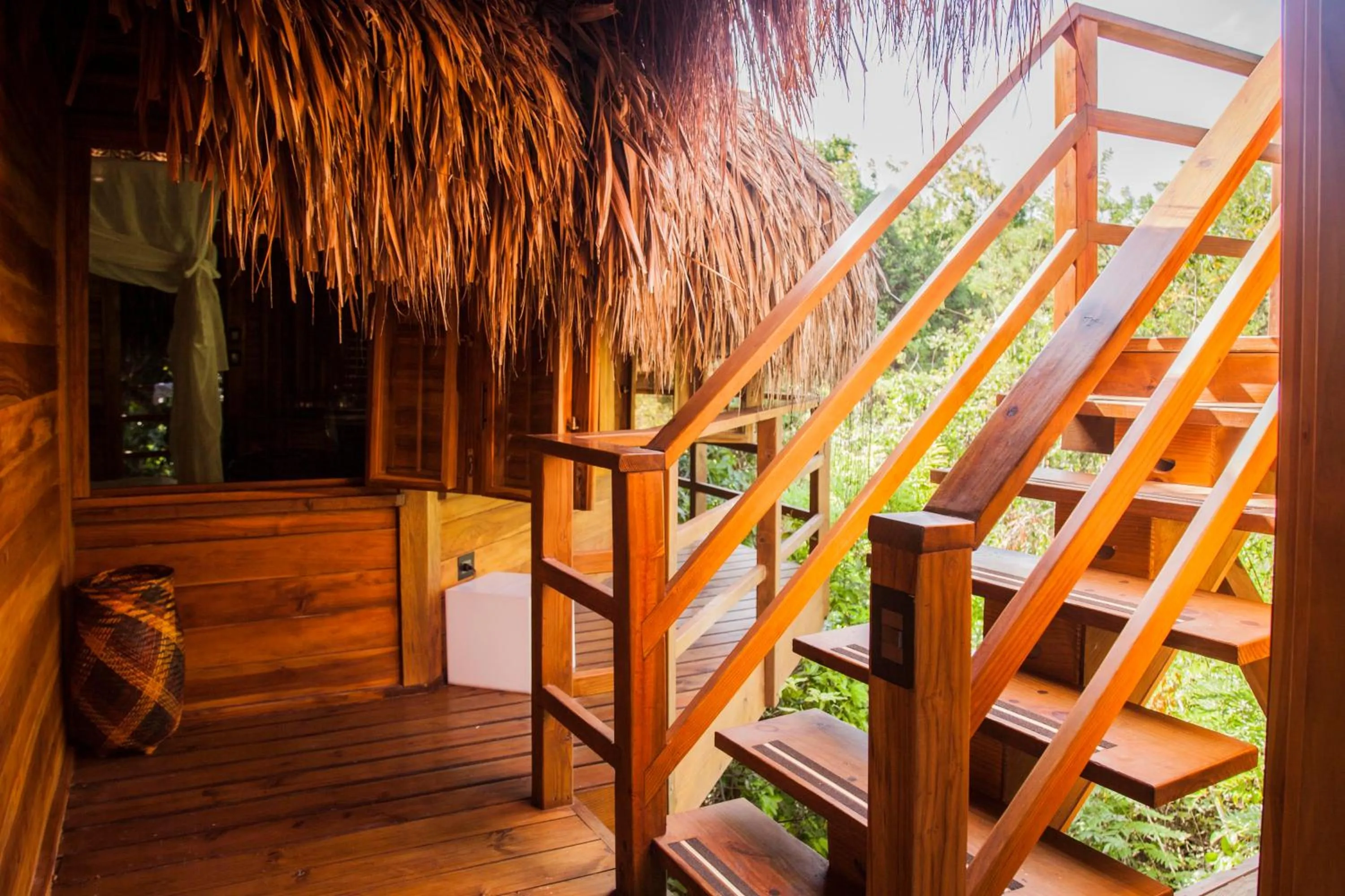 Natural landscape in Hotel Las Islas