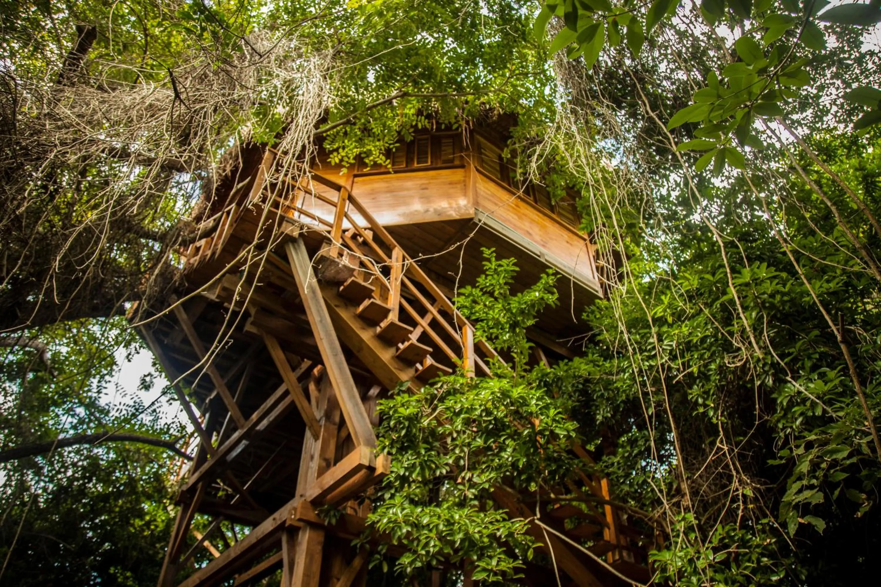 Spring in Hotel Las Islas