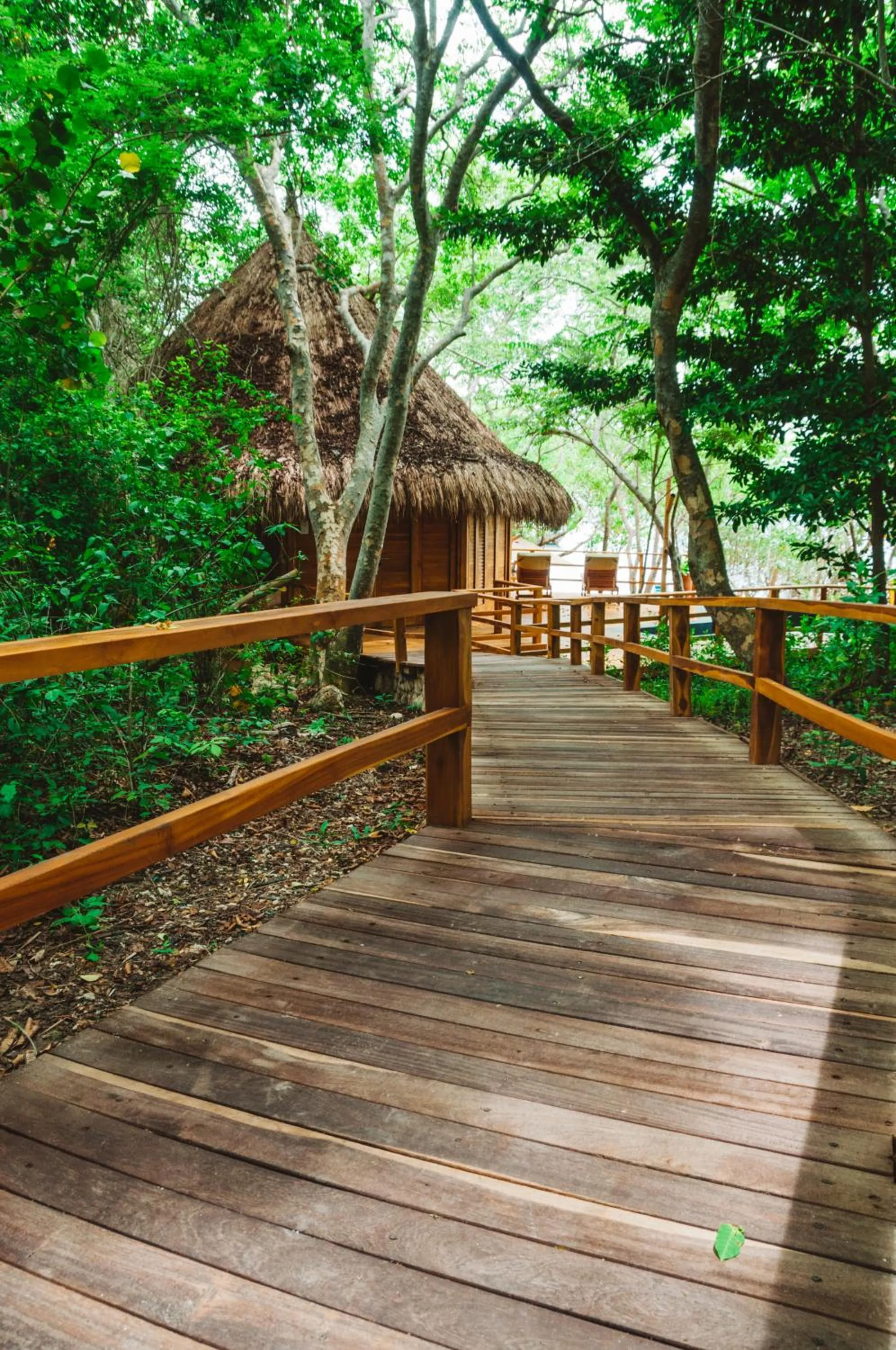 Spring in Hotel Las Islas