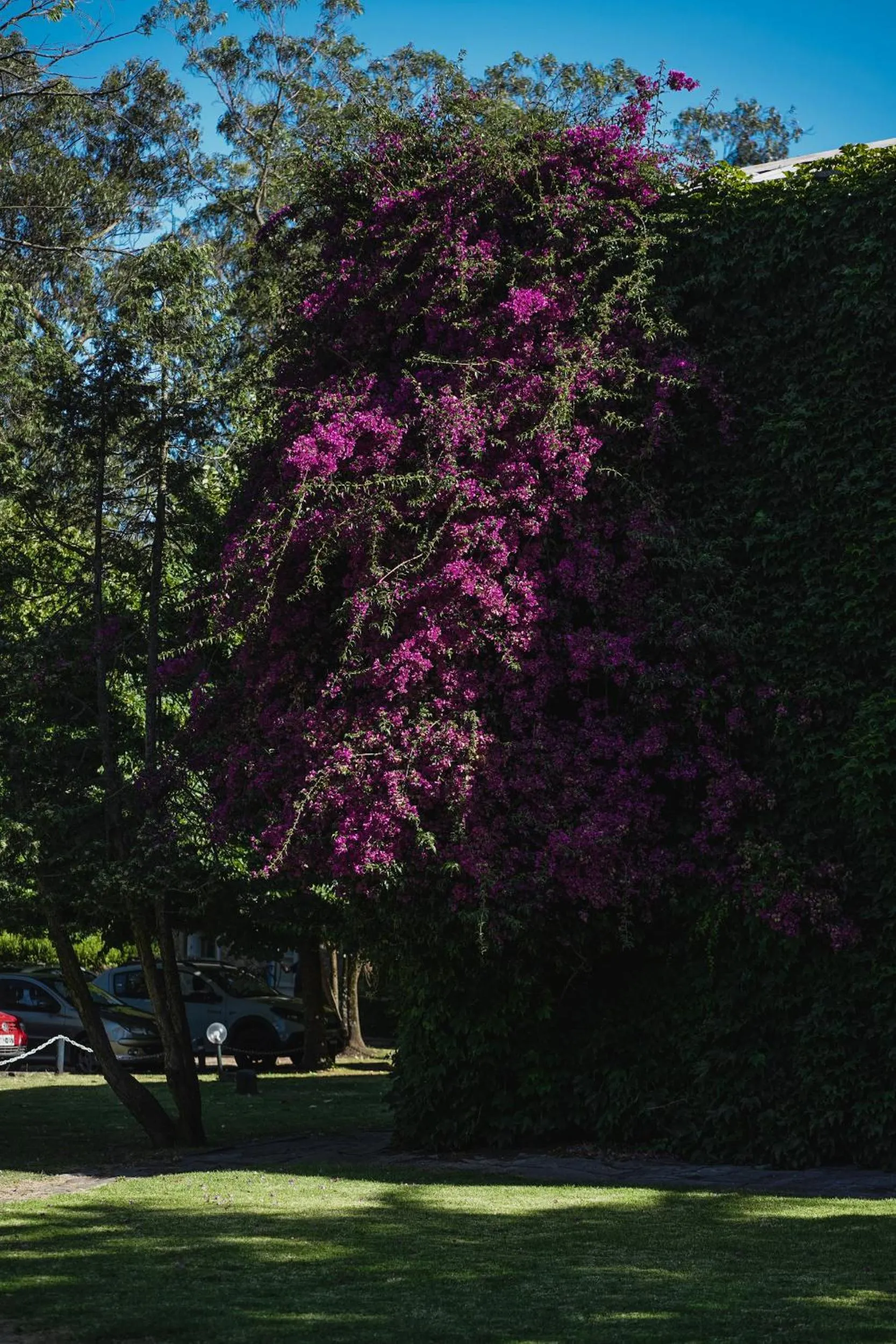 Hotel Apartur Mar del Plata