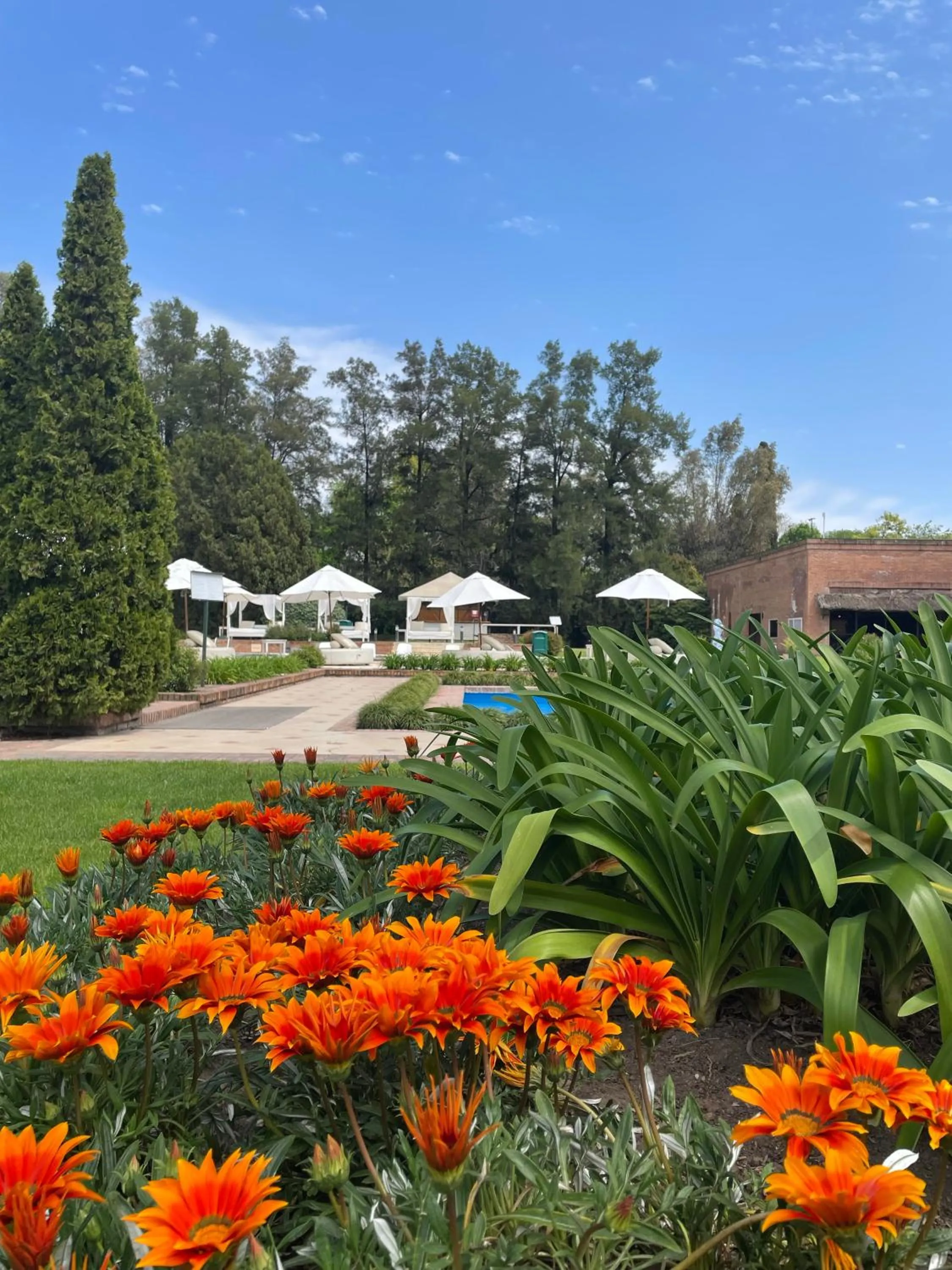 Garden in Sheraton Pilar Hotel & Convention Center