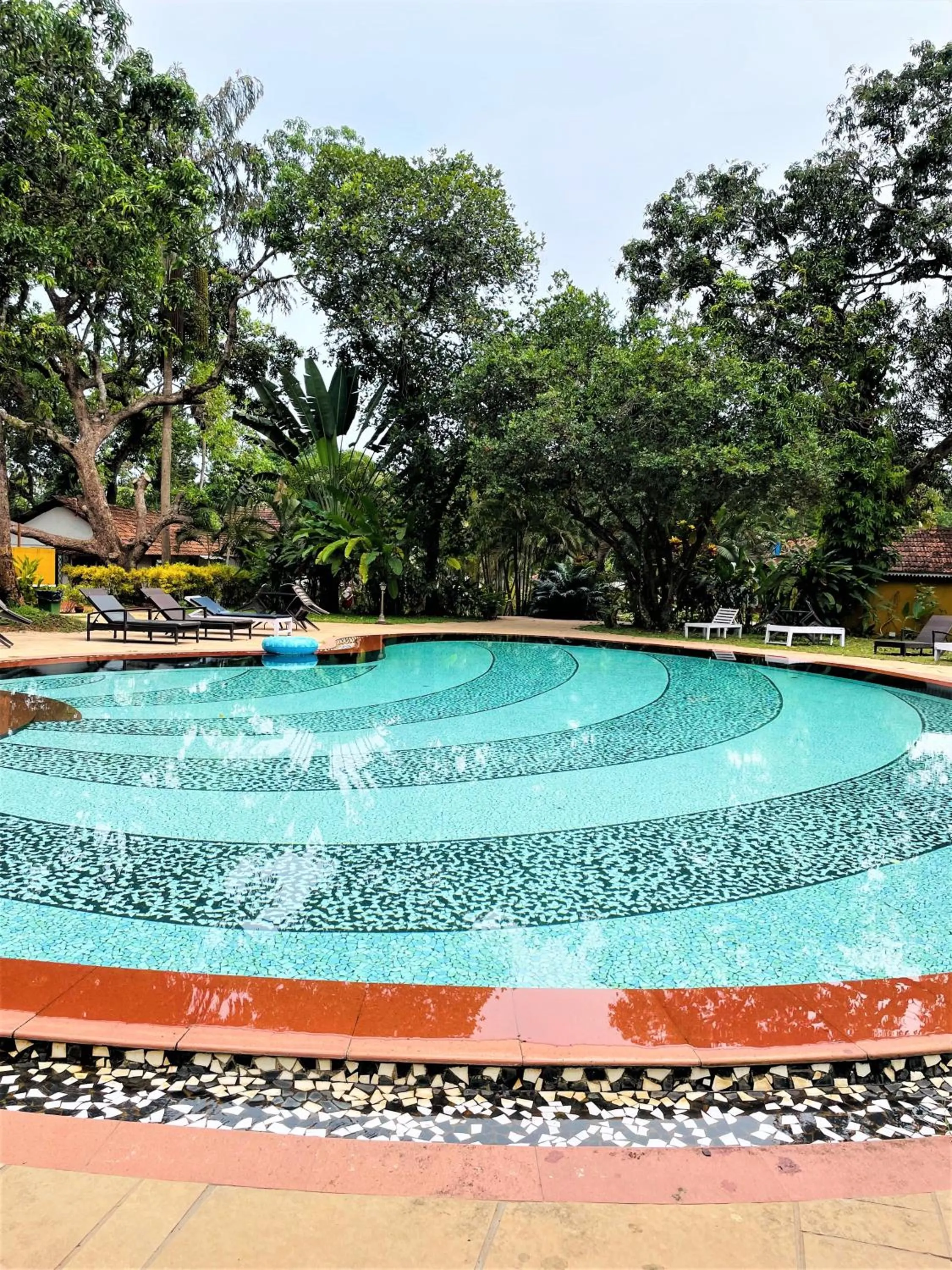 Swimming pool in Granpa's Inn Hotel Bougainvillea