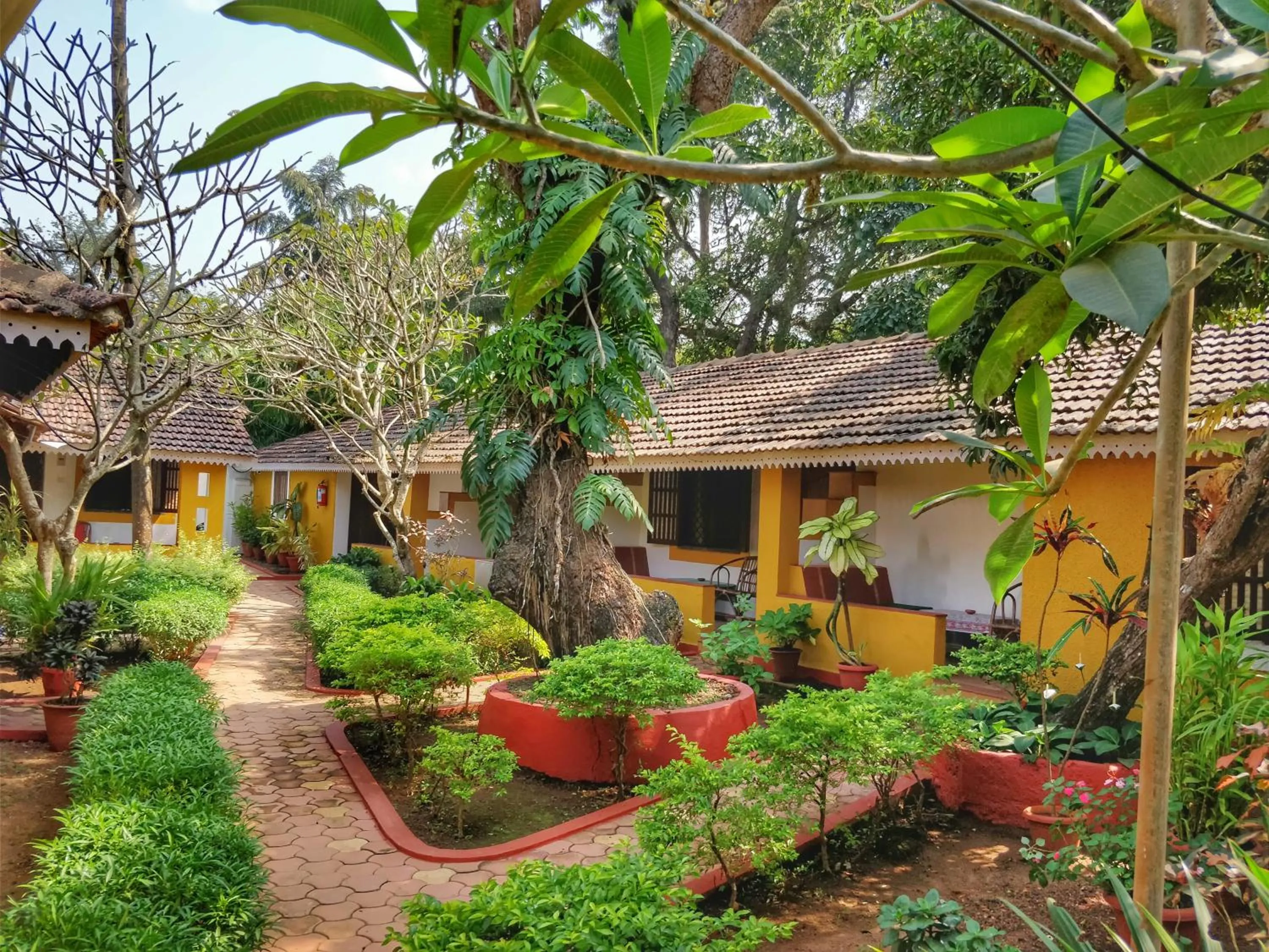 Property building in Granpa's Inn Hotel Bougainvillea