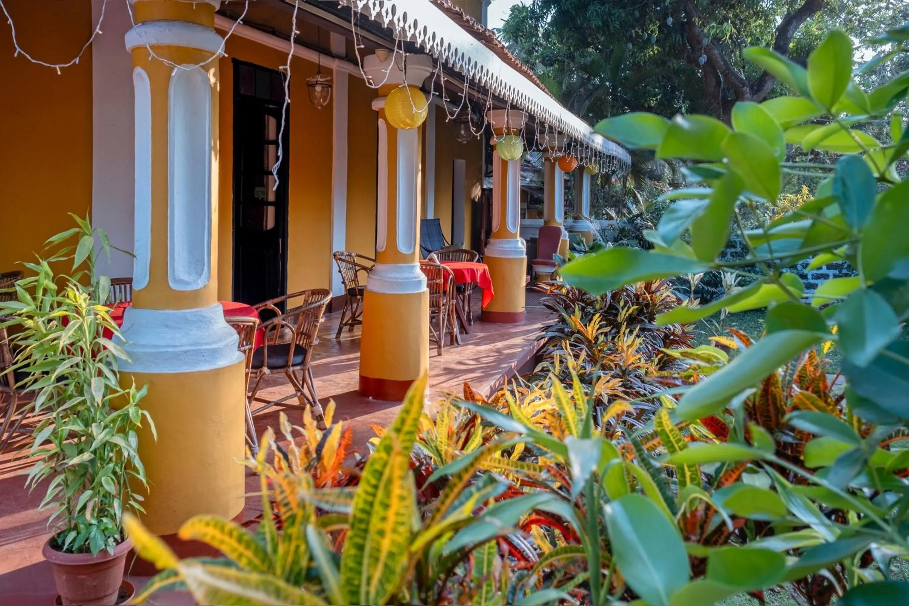 Property building in Granpa's Inn Hotel Bougainvillea