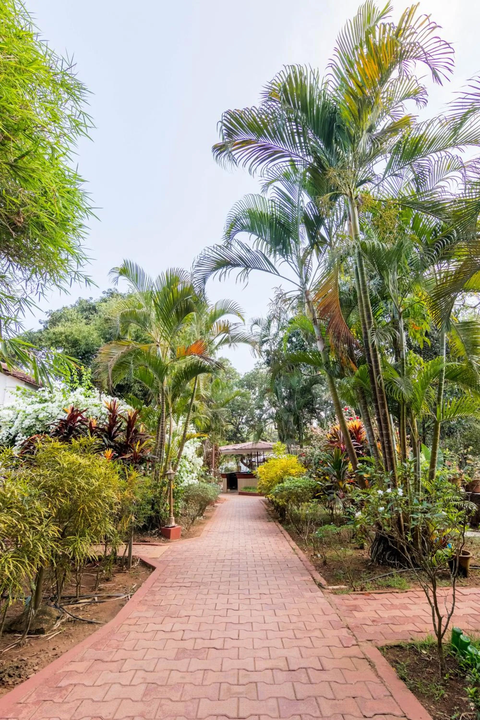 Garden in Granpa's Inn Hotel Bougainvillea