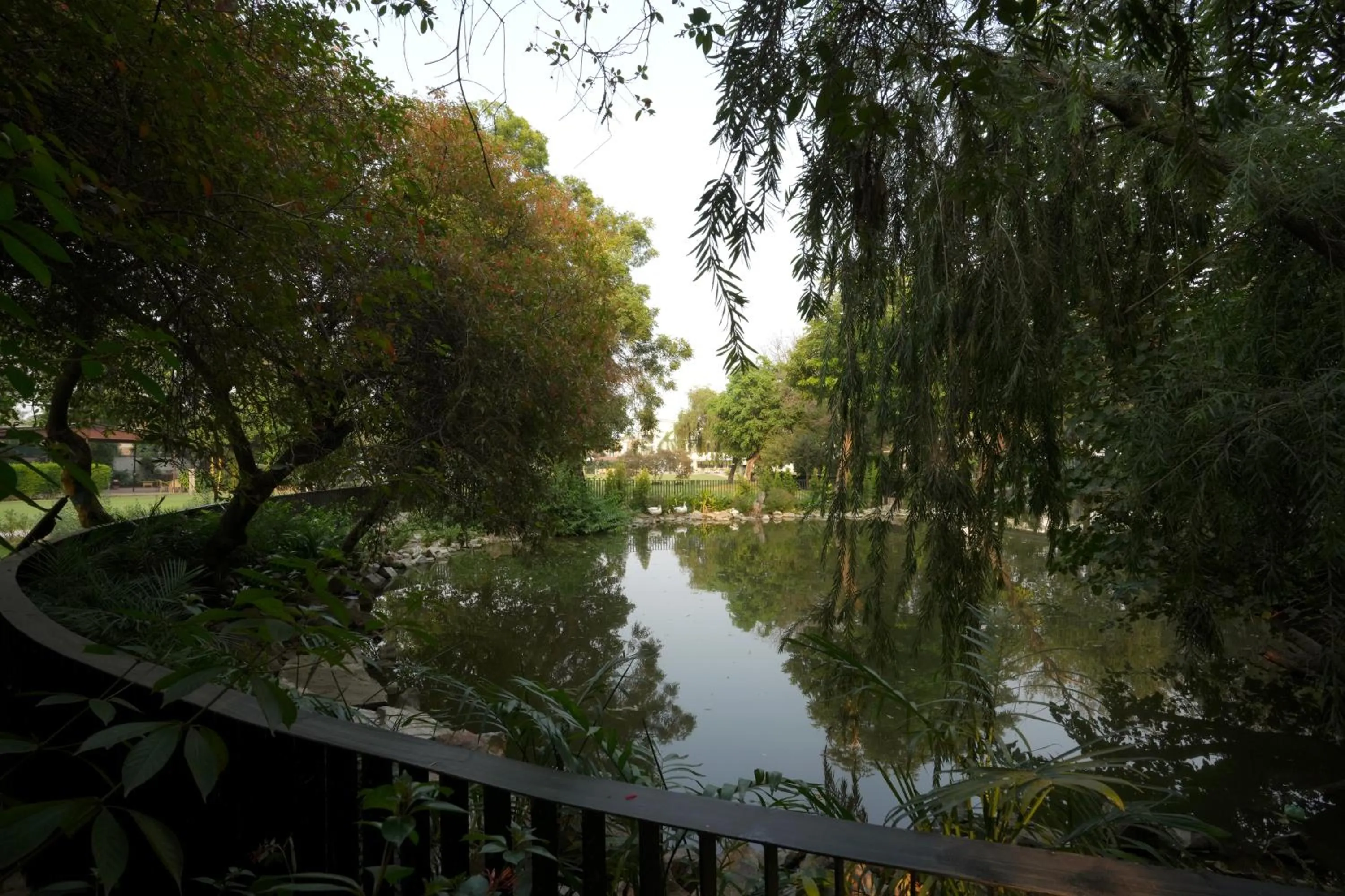 Lake view in Best Western Resort Country Club